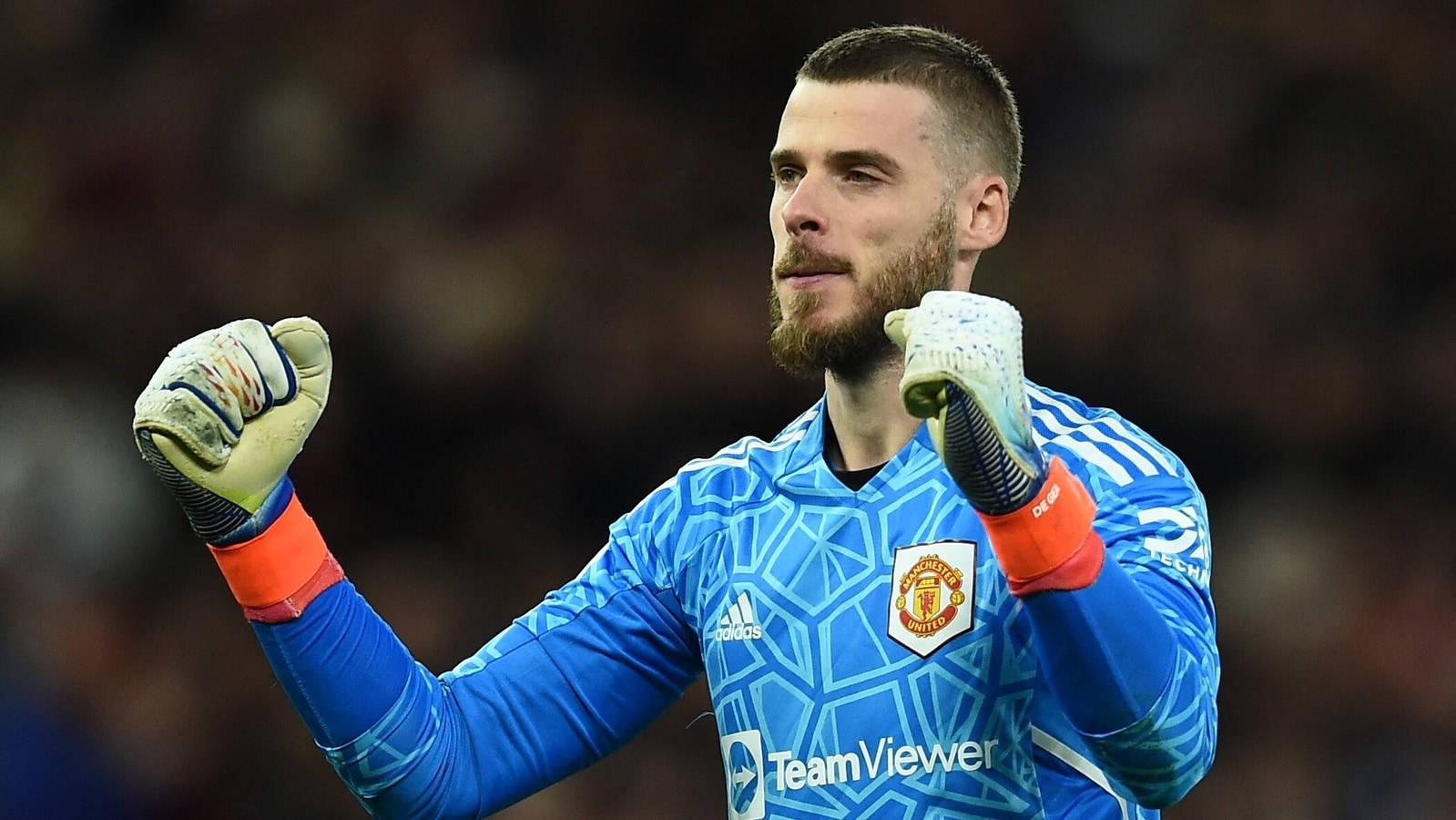 David de Gea, blue Manchester United kit, gloved fists, HD Desktop Wallpaper