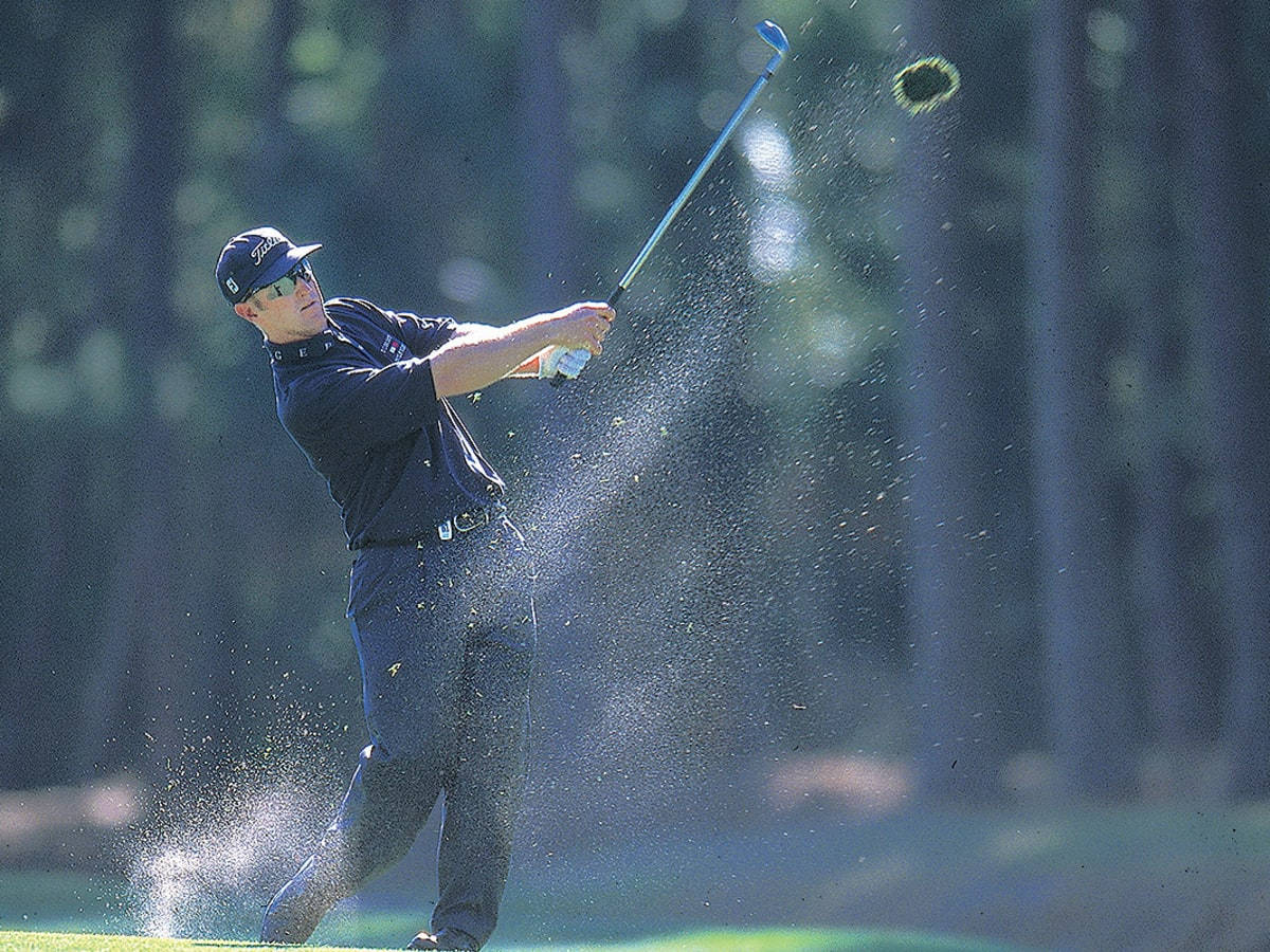 David Duval, sand trap, bright sunlit forest, SD Desktop Wallpaper