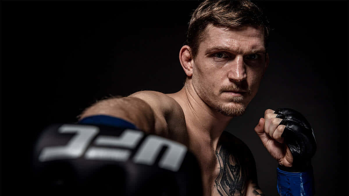 David Dvořák, mixed martial artist, gloved fists, SD Desktop Wallpaper