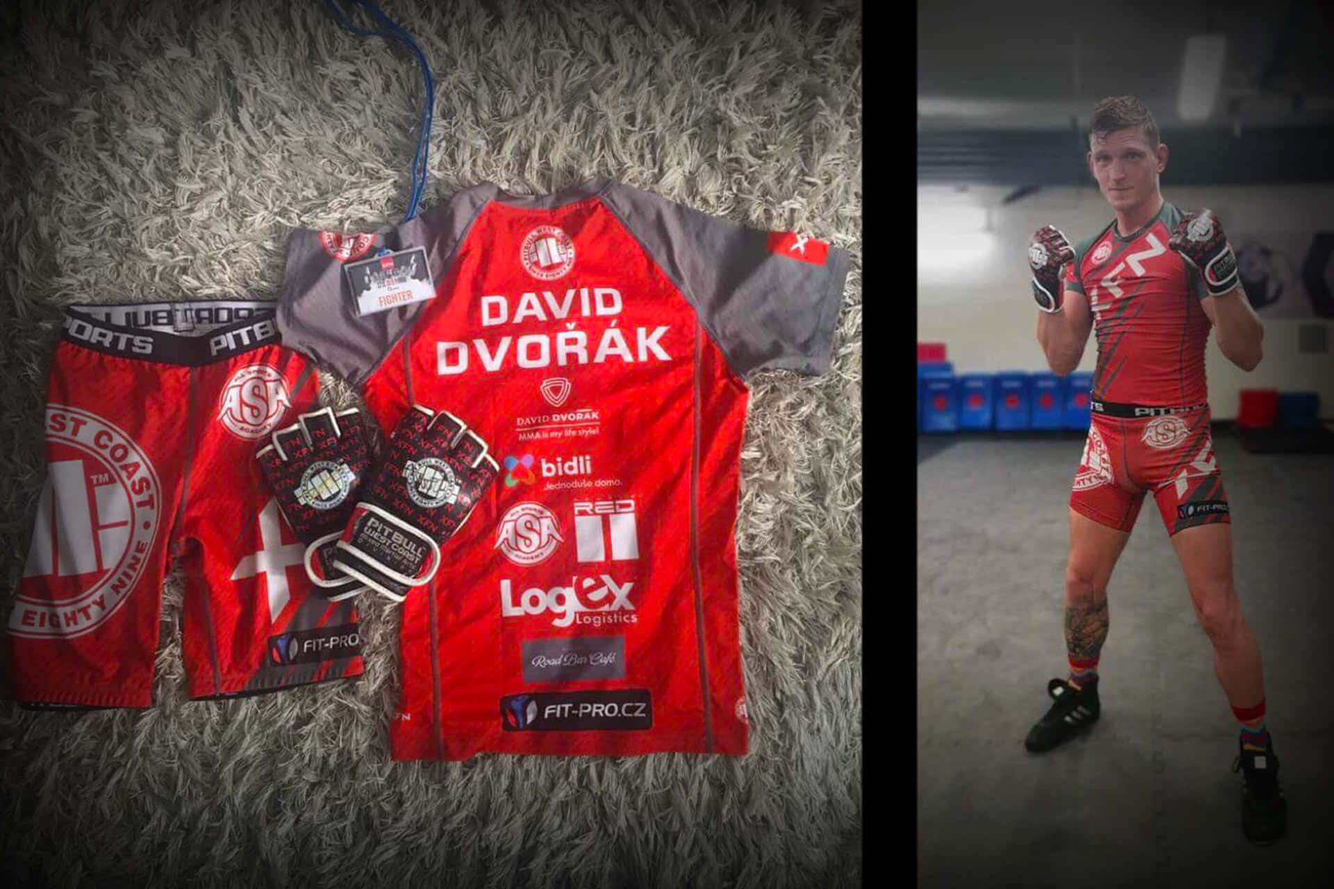 David Dvořák, Red MMA gear, fluffy gray rug, Full HD Desktop Wallpaper
