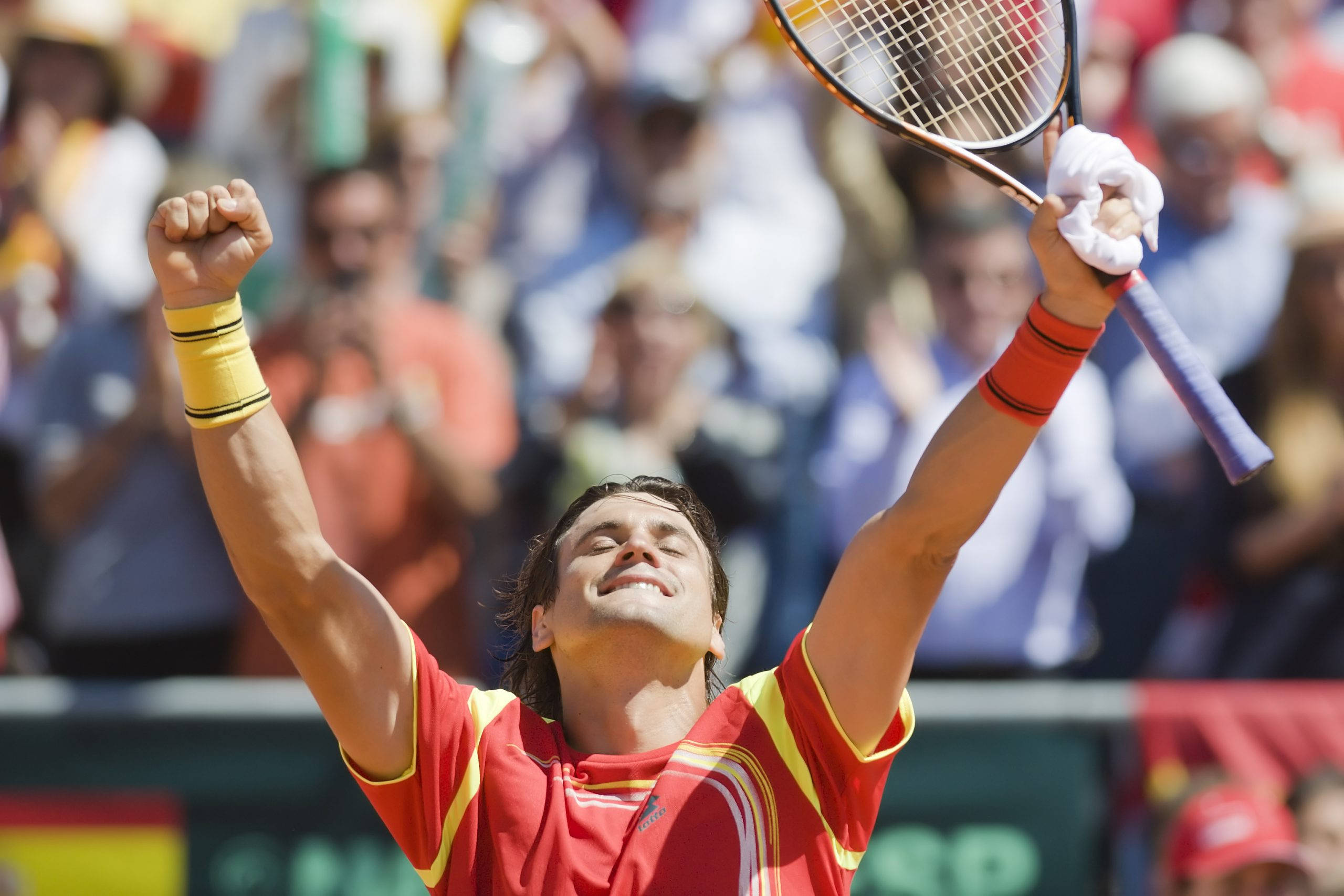 David Ferrer, fists in air, tennis player, 2K Desktop Wallpaper