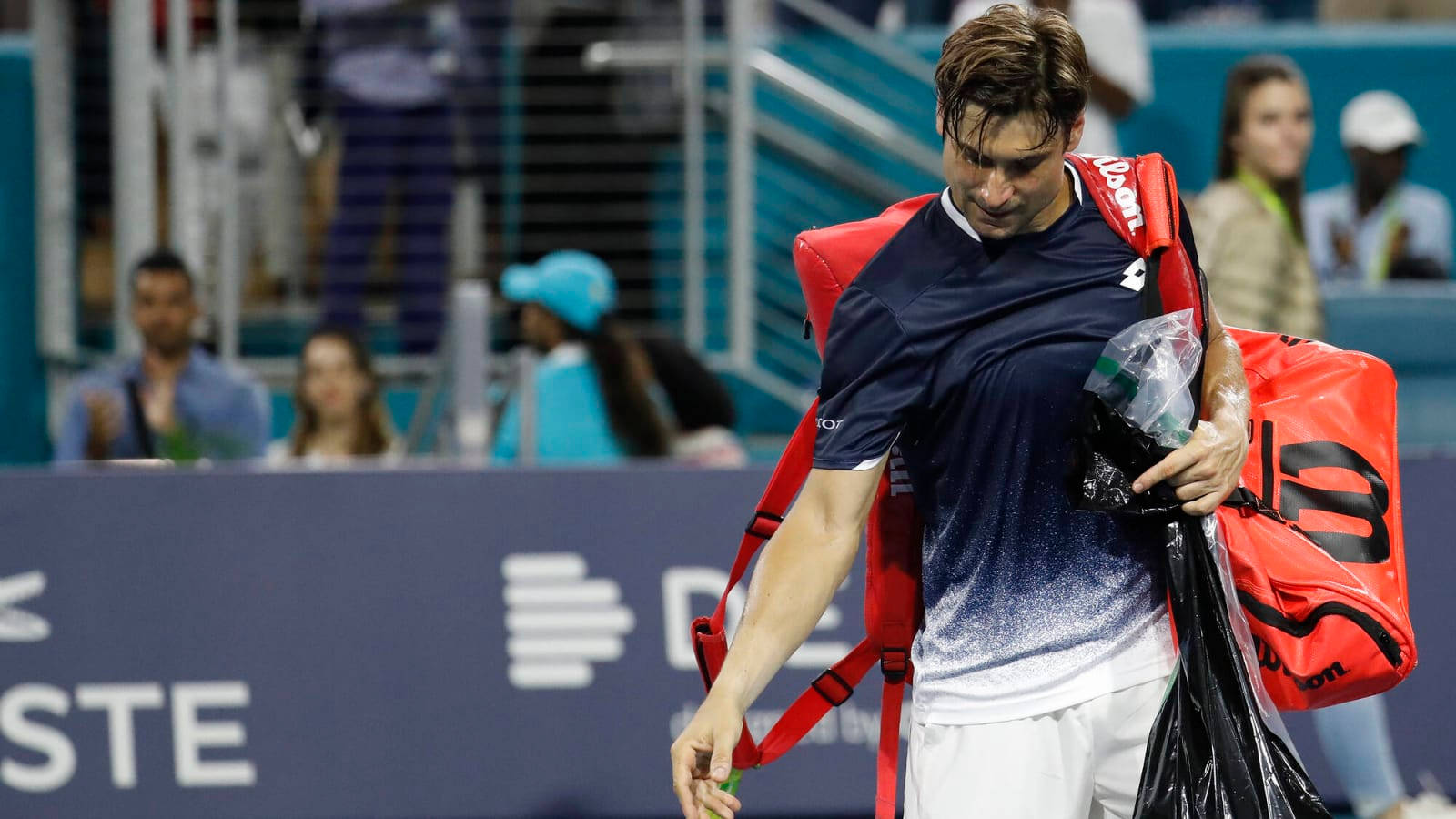 David Ferrer, red tennis bag, male tennis player, HD Desktop Wallpaper