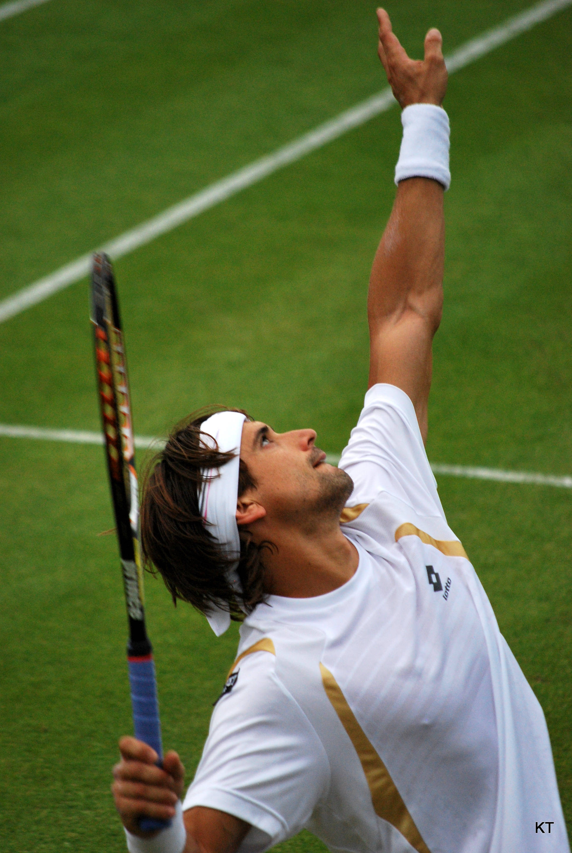 David Ferrer, white and gold gear, grass court, 2K Phone Wallpaper