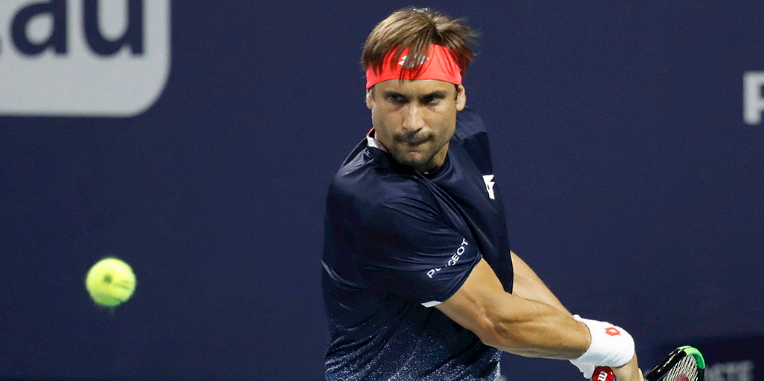 David Ferrer, navy shirt, red headband, Full HD Desktop Wallpaper