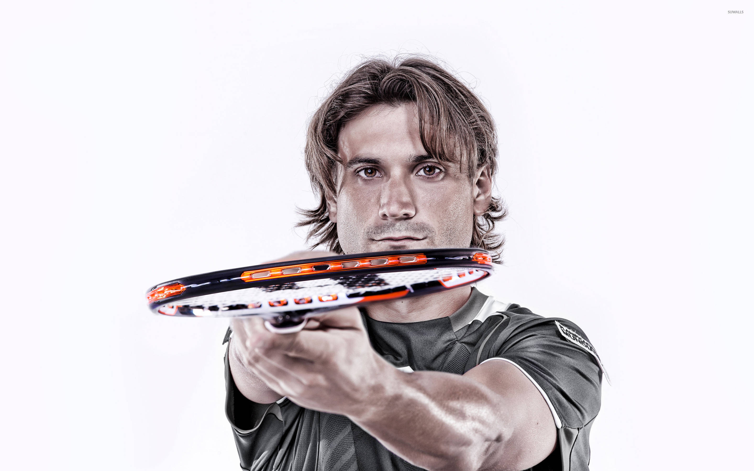 David Ferrer, tennis player, racket, 2K Desktop Wallpaper