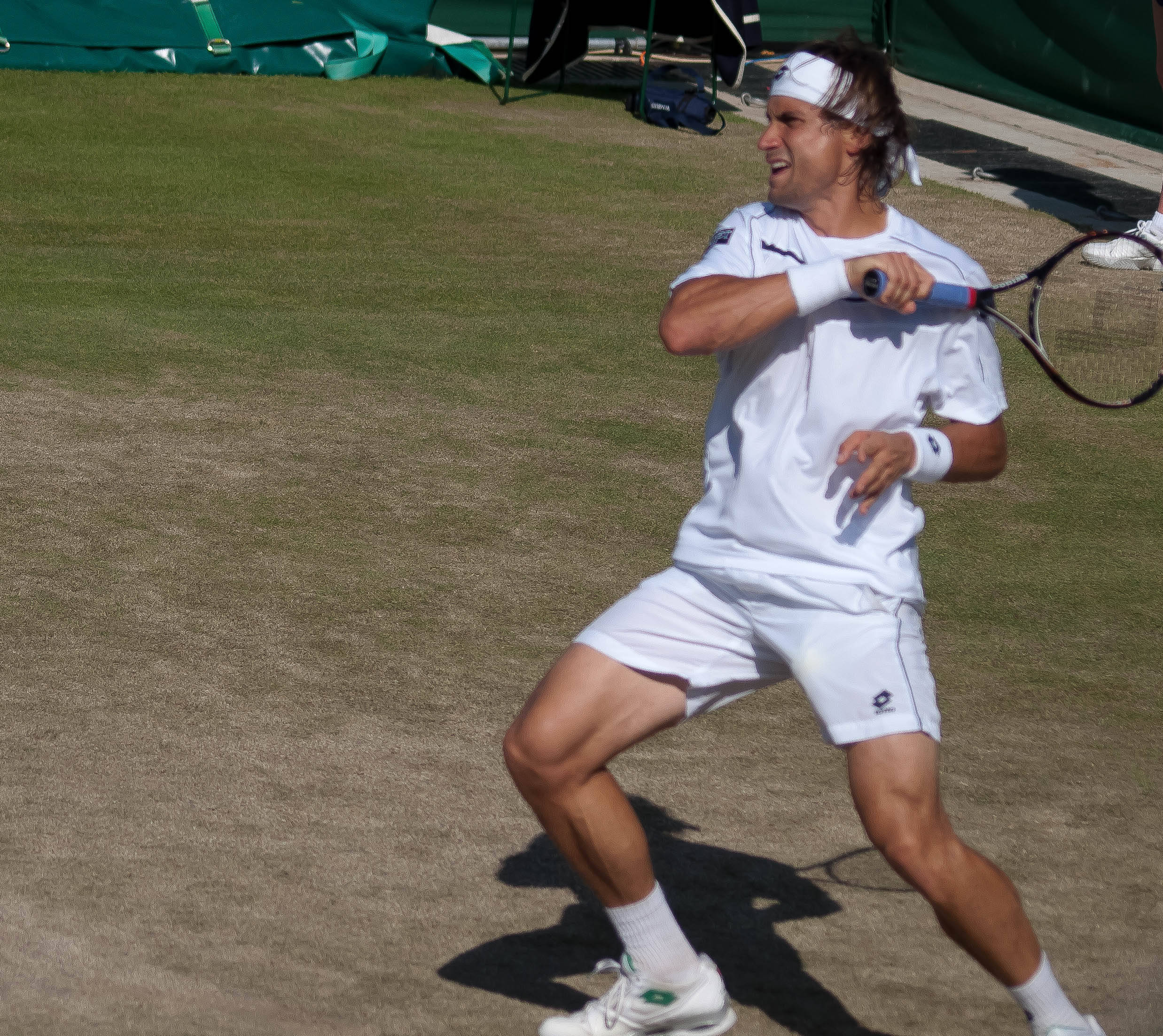 David Ferrer, championship match, sunlit grass court, Full HD Desktop Wallpaper
