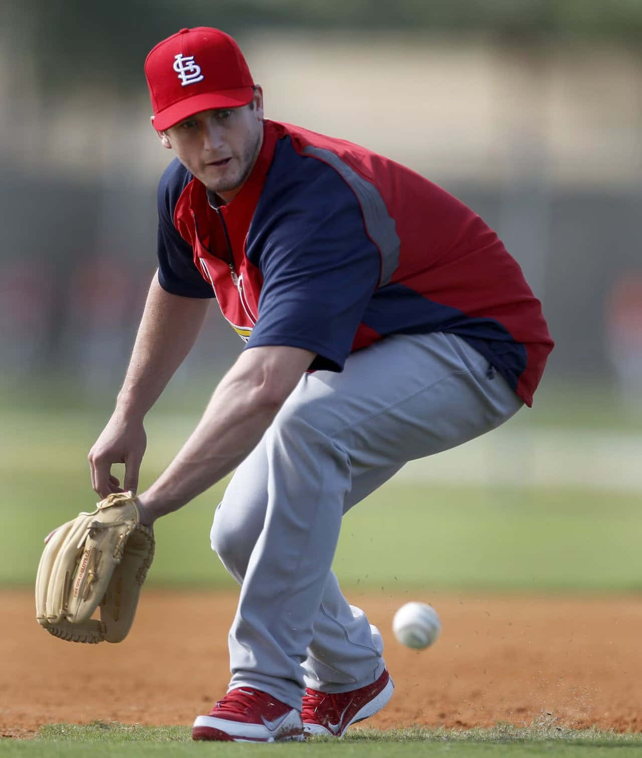David Freese, red and blue uniform, dirt field, HD Phone Wallpaper