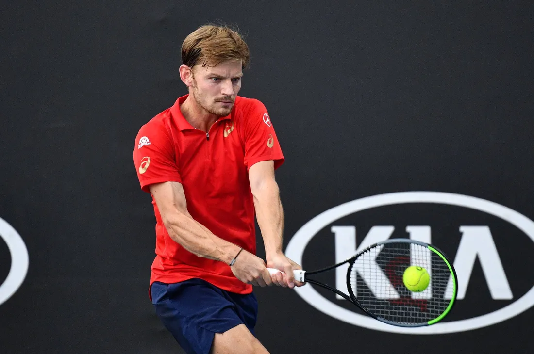 David Goffin
