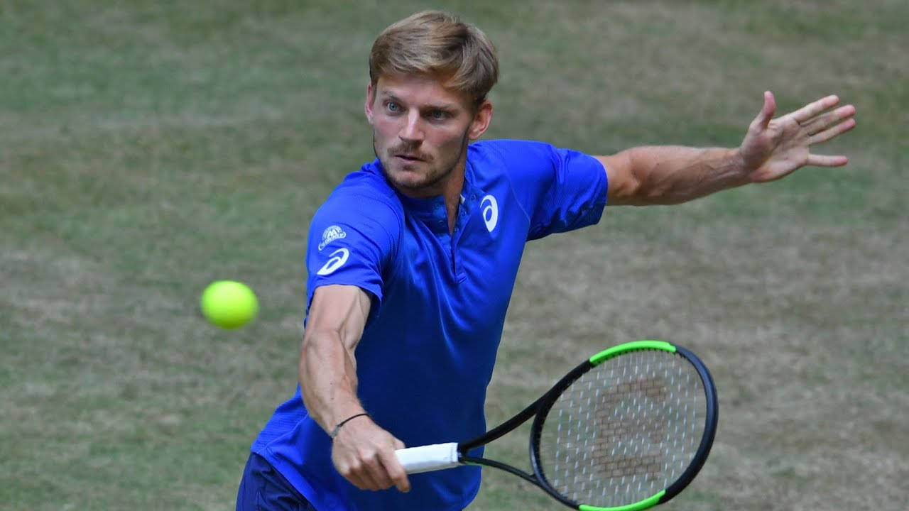 David Goffin, blue shirt, yellow ball, HD Desktop Wallpaper