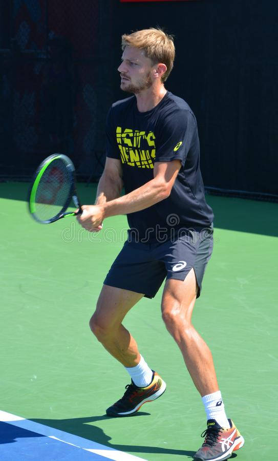 David Goffin, tennis court, vibrant green, SD Phone Wallpaper