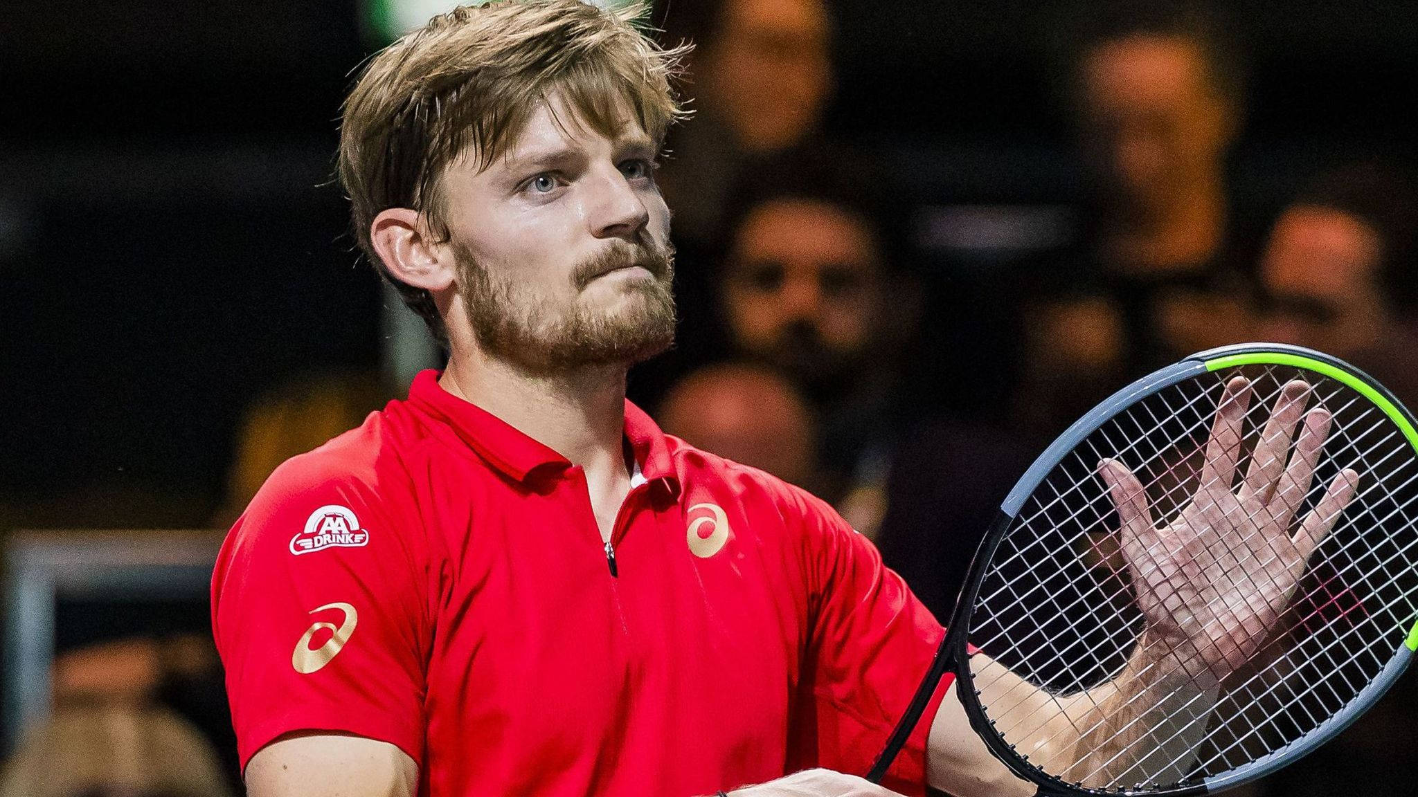 David Goffin, racket, red shirt, Full HD Desktop Wallpaper