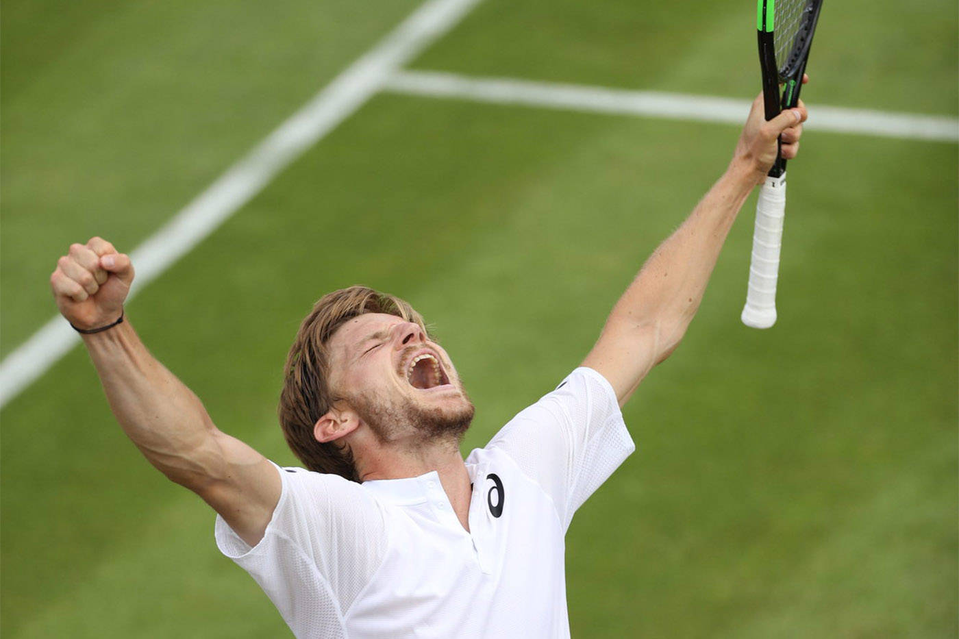 David Goffin, tennis player, grass court, HD Desktop Wallpaper