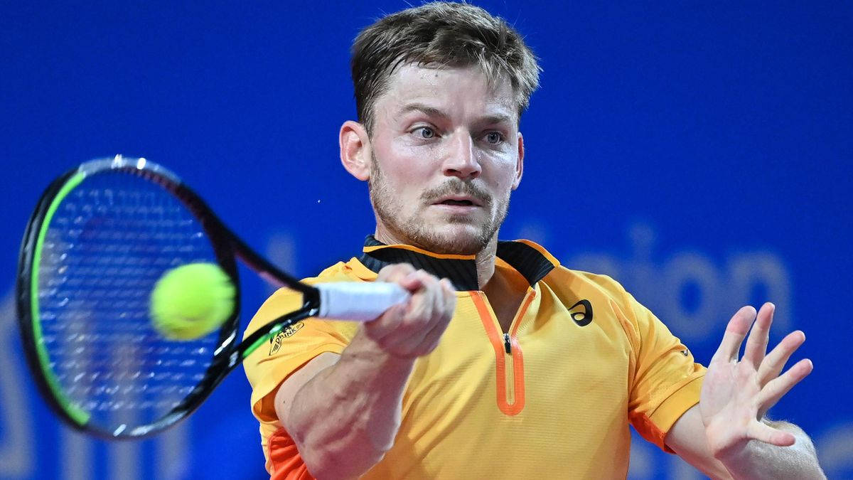David Goffin, yellow shirt, bright yellow ball, SD Desktop Wallpaper