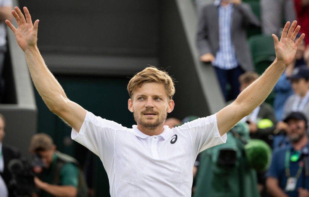 David Goffin, tennis player, grass court, SD Desktop Wallpaper