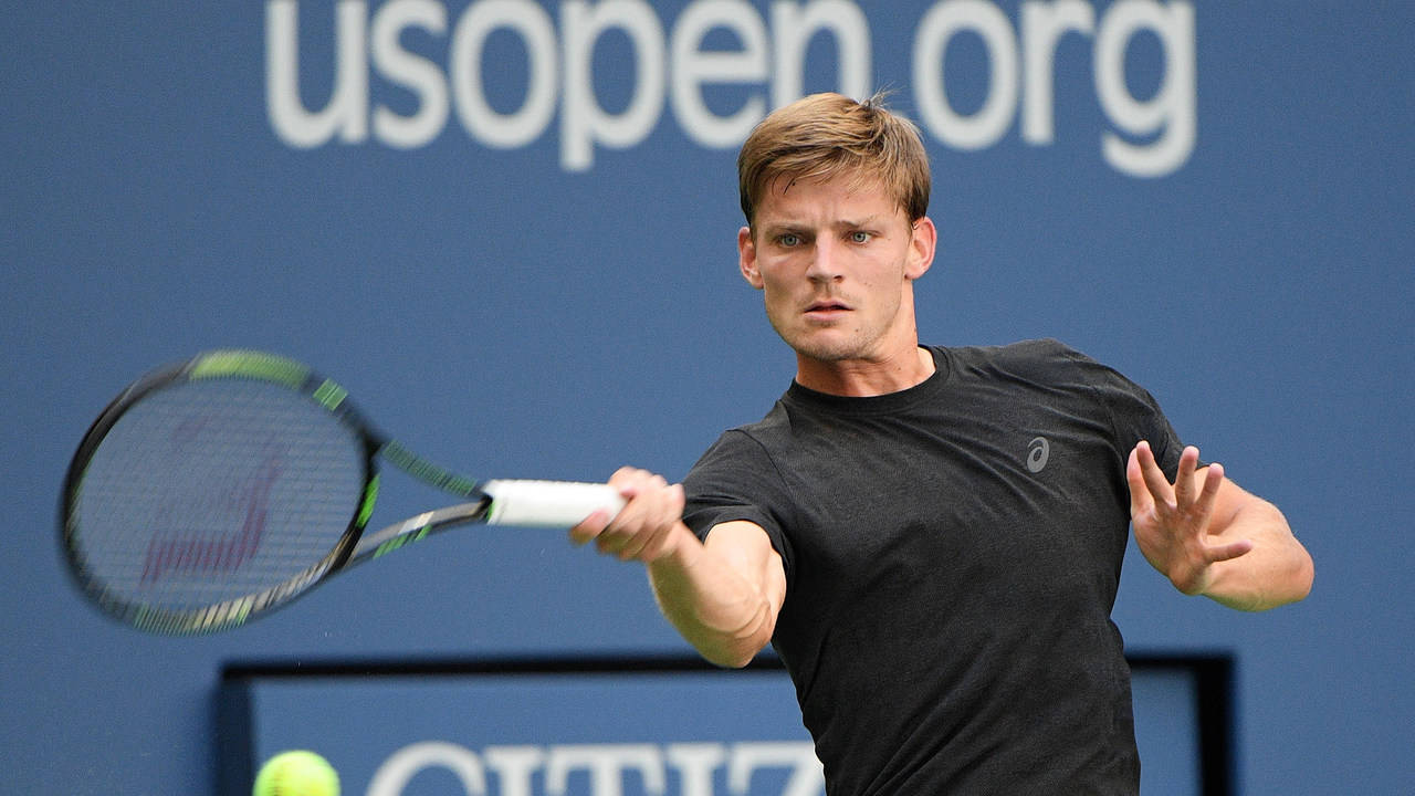 David Goffin, black shirt, yellow ball, HD Desktop Wallpaper