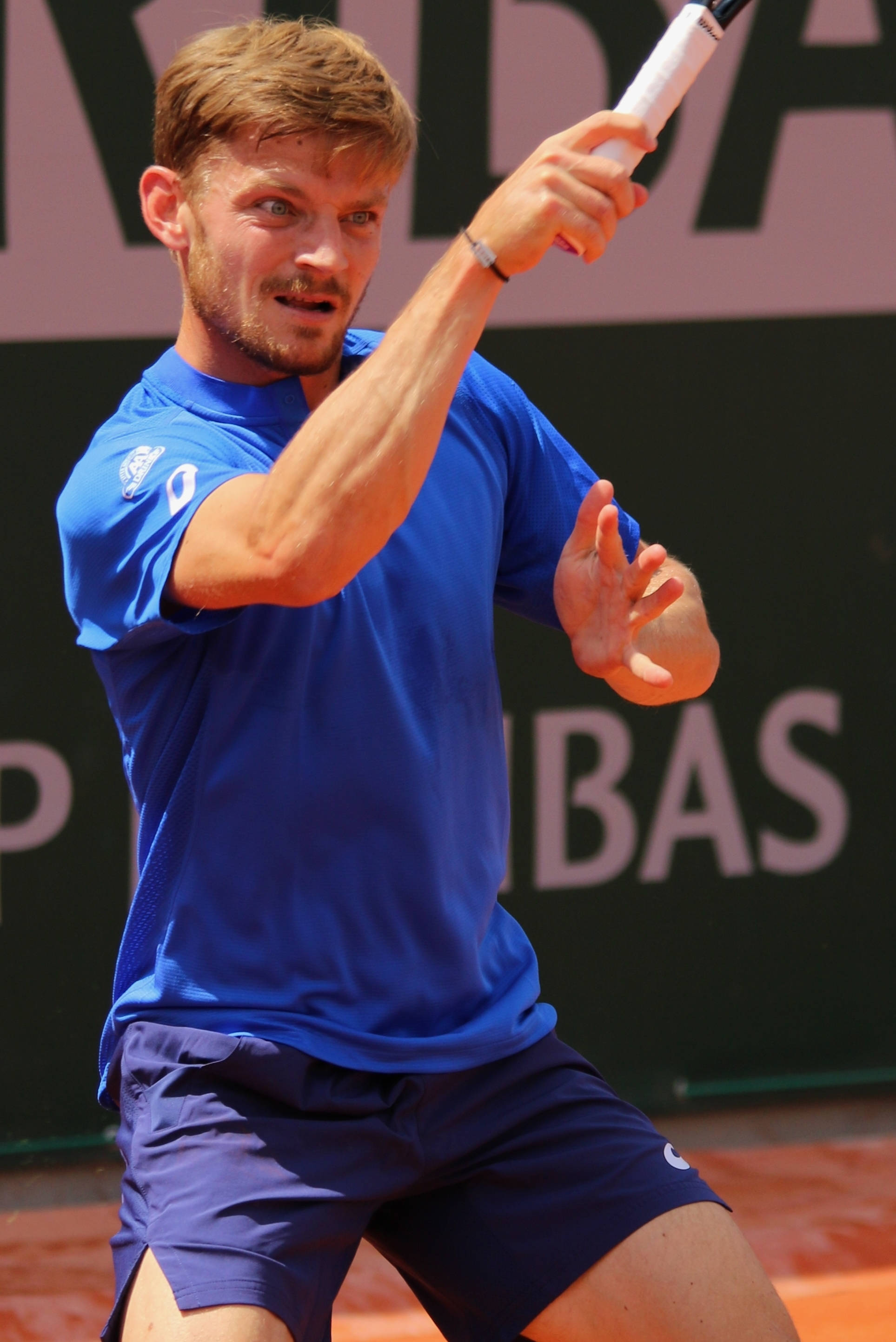 David Goffin, blue shirt, blue outfit, 2K Phone Wallpaper