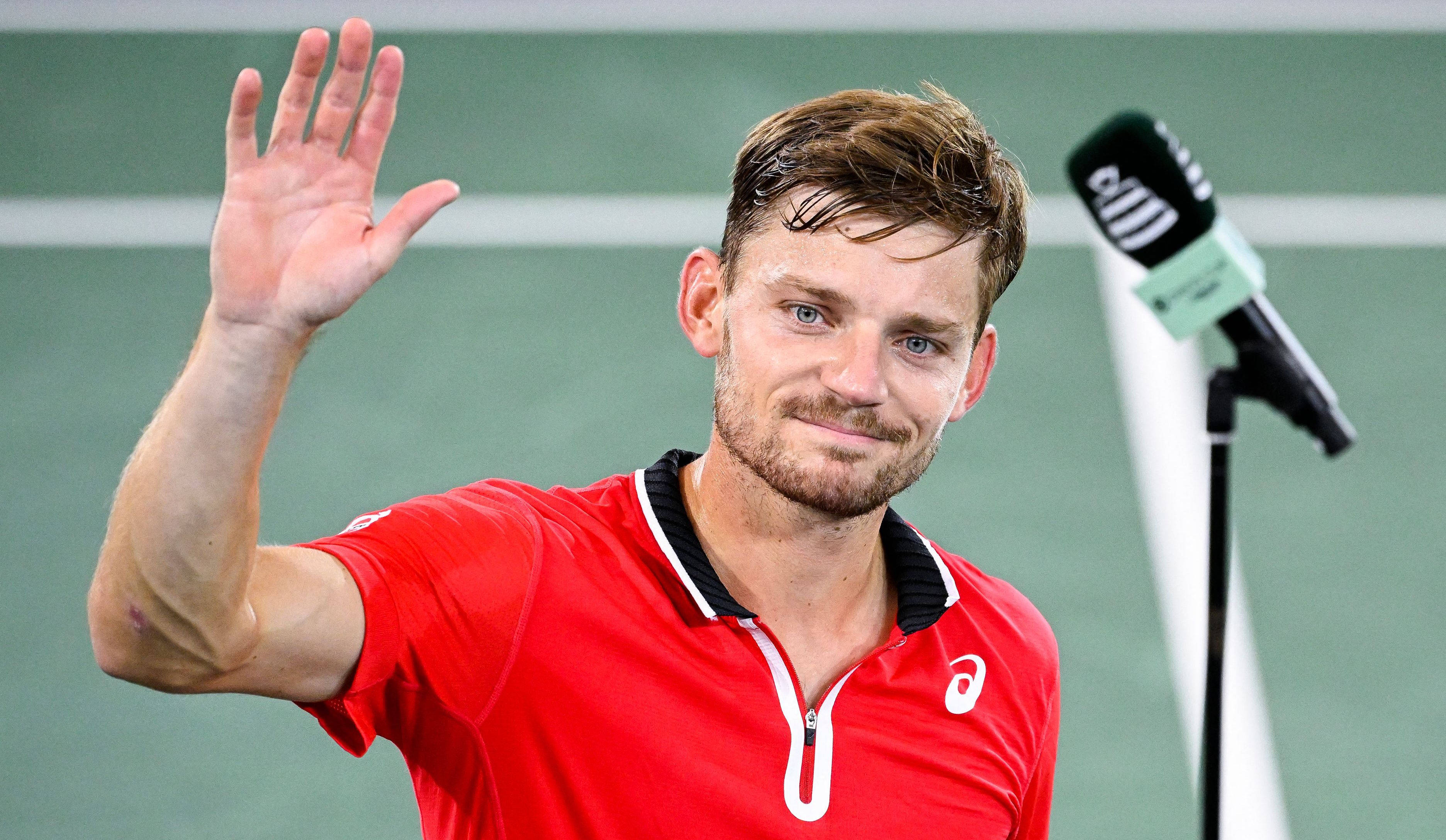 David Goffin, red shirt, green court, 2K Desktop Wallpaper