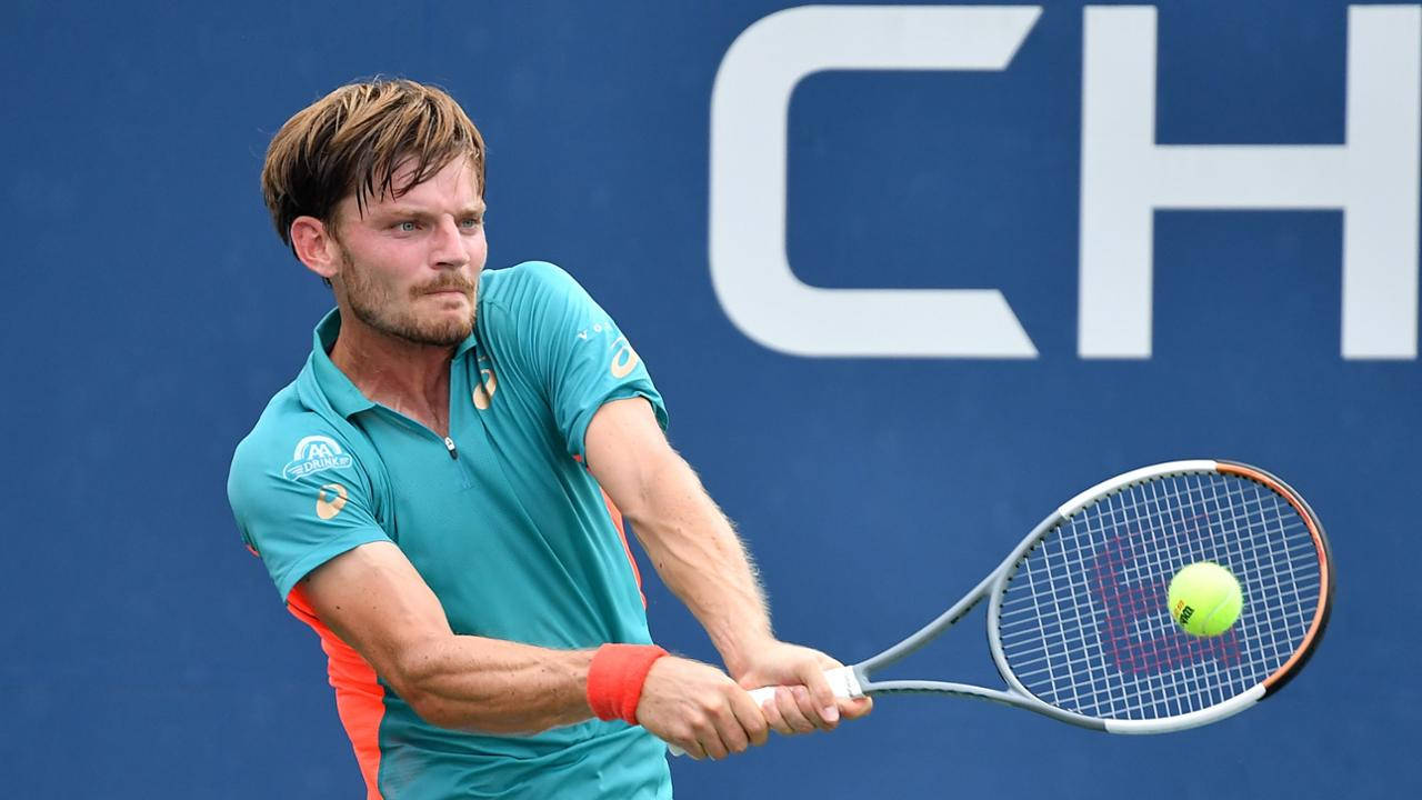 David Goffin, teal shirt, yellow ball, HD Desktop Wallpaper