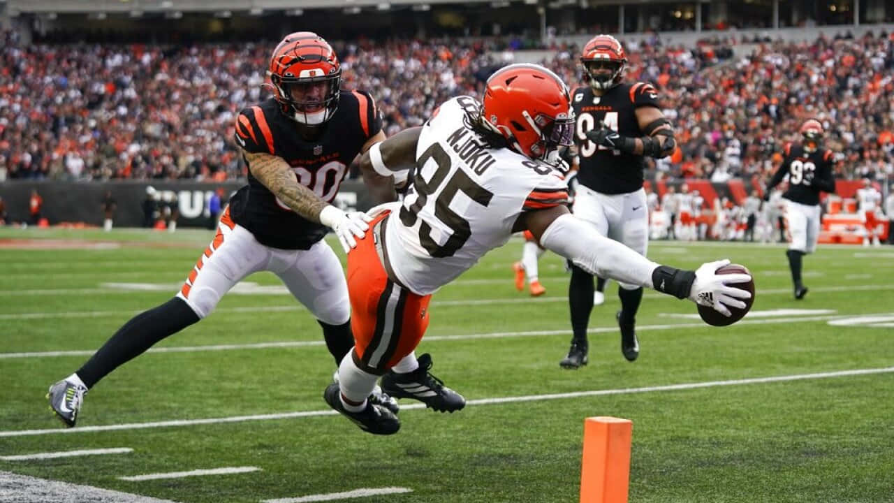 David Njoku, diving catch, white, HD Desktop Wallpaper