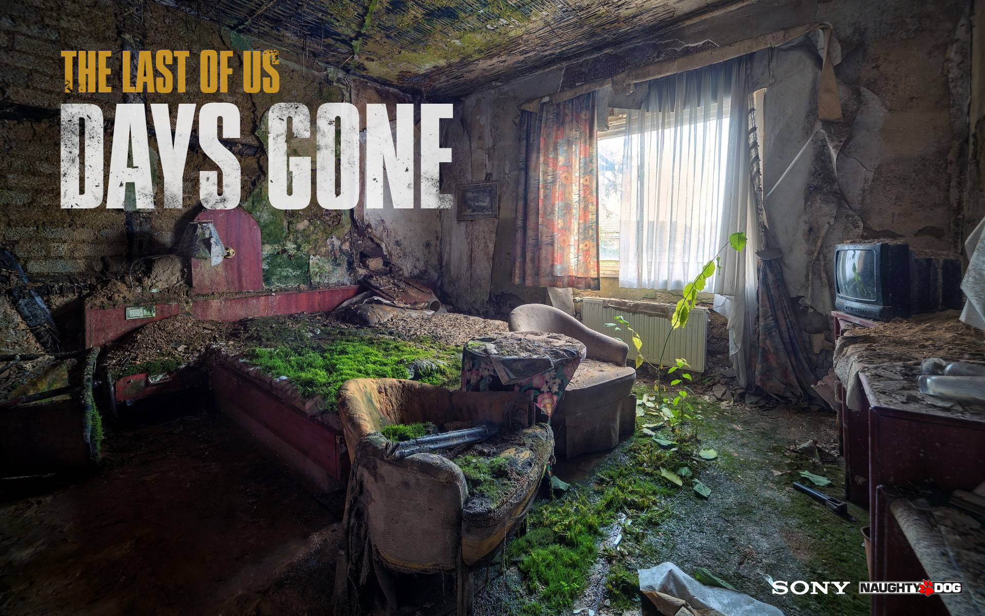 Days Gone, abandoned room, moss, Full HD Desktop Wallpaper