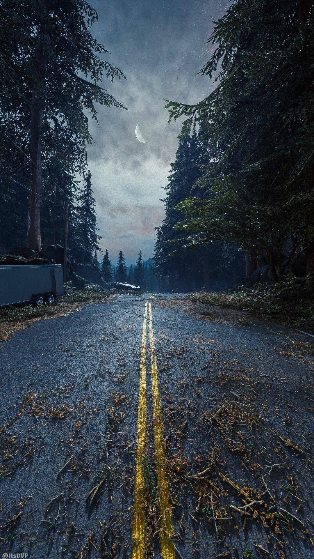 Days Gone, dusk, wet forest road, Full HD Phone Wallpaper