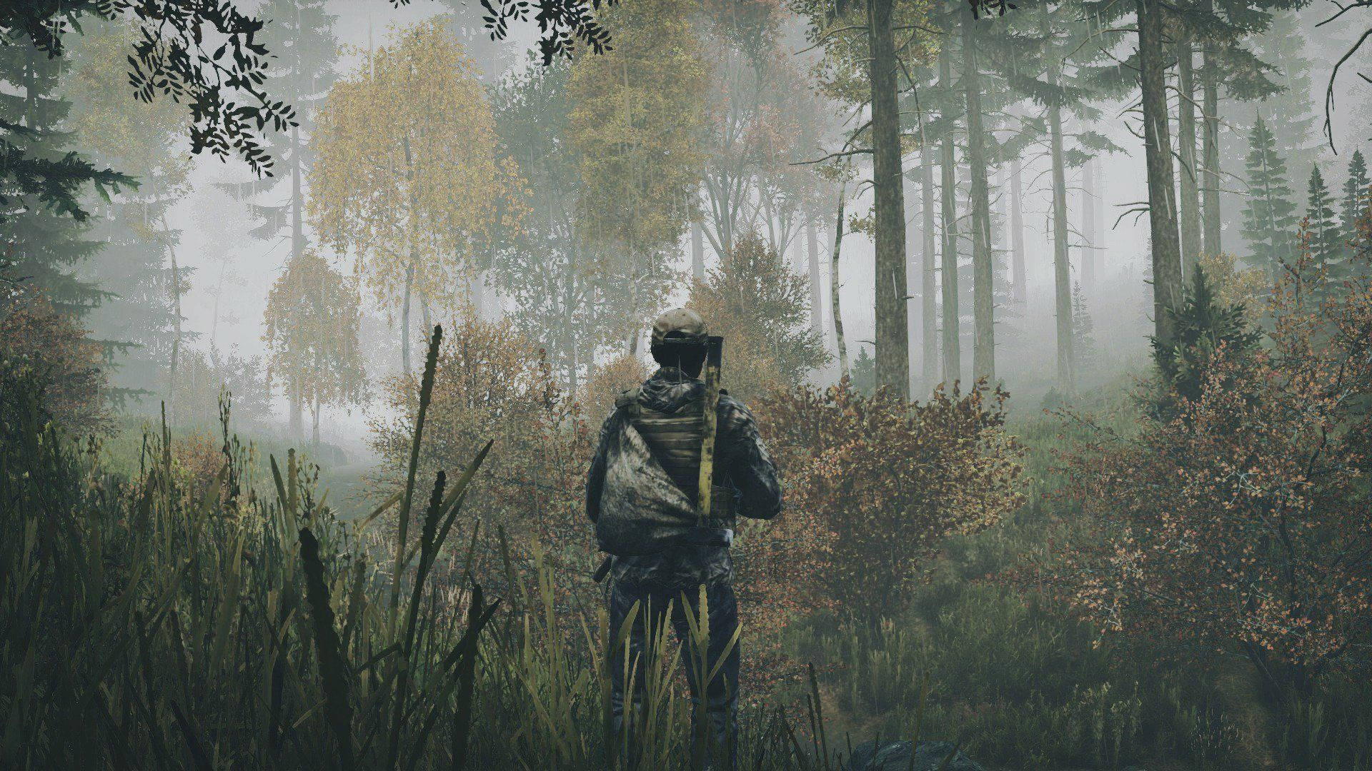 DayZ, foggy forest, camouflage gear, Full HD Desktop Wallpaper