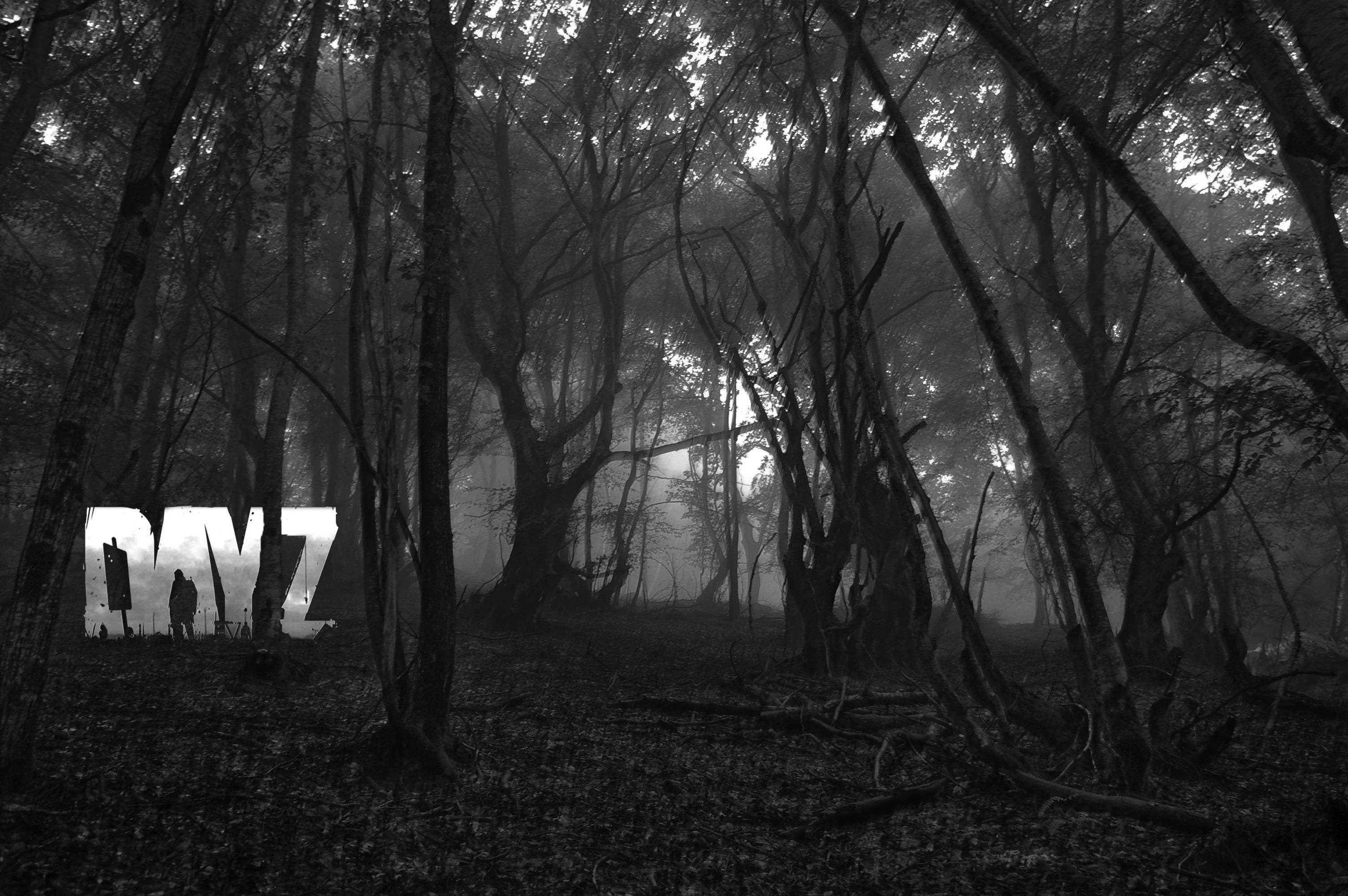 DayZ, woods, misty monochrome forest, 2K Desktop Wallpaper