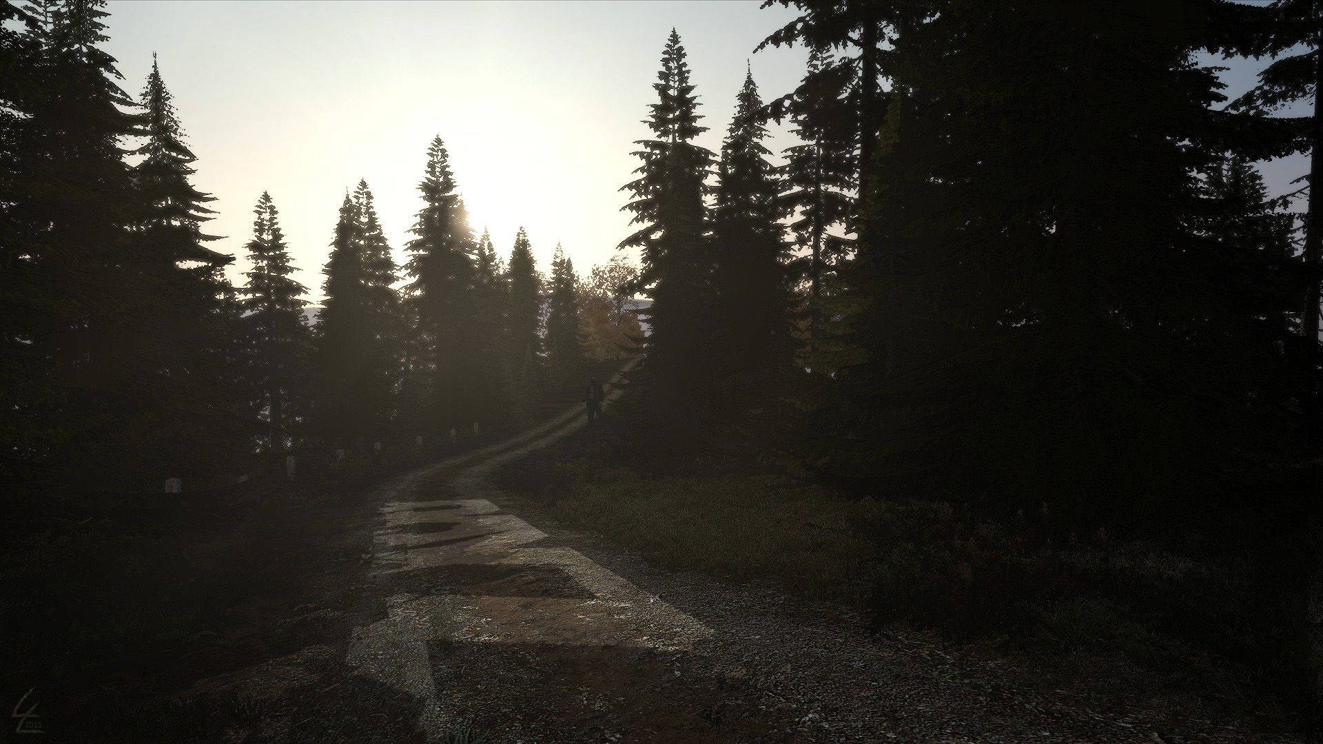 DayZ, dirt path, stone path, Full HD Desktop Wallpaper
