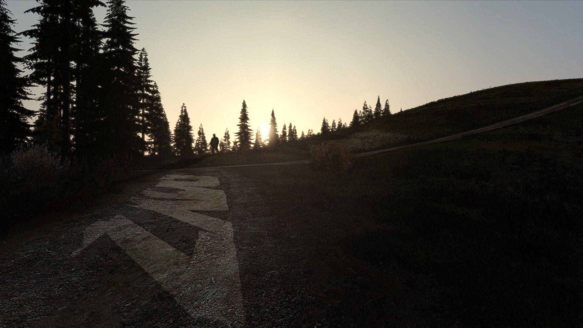 DayZ, sunset, forest trail, Full HD Desktop Wallpaper