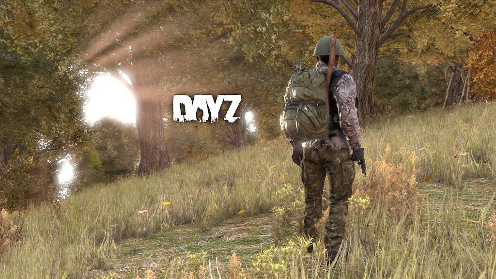 DayZ, forest, daylight, SD Desktop Wallpaper