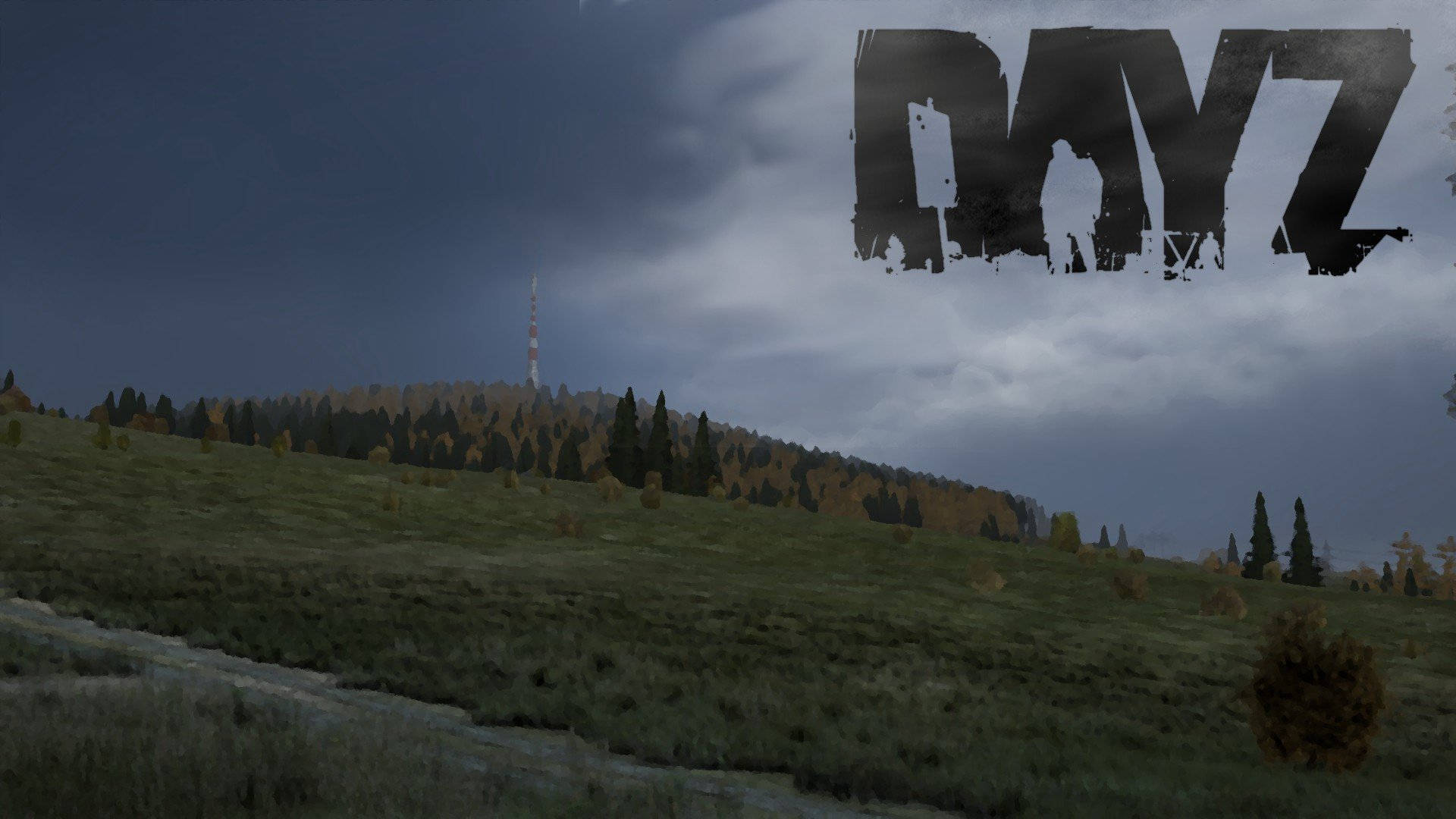 DayZ, gloomy sky, grassy field, Full HD Desktop Wallpaper