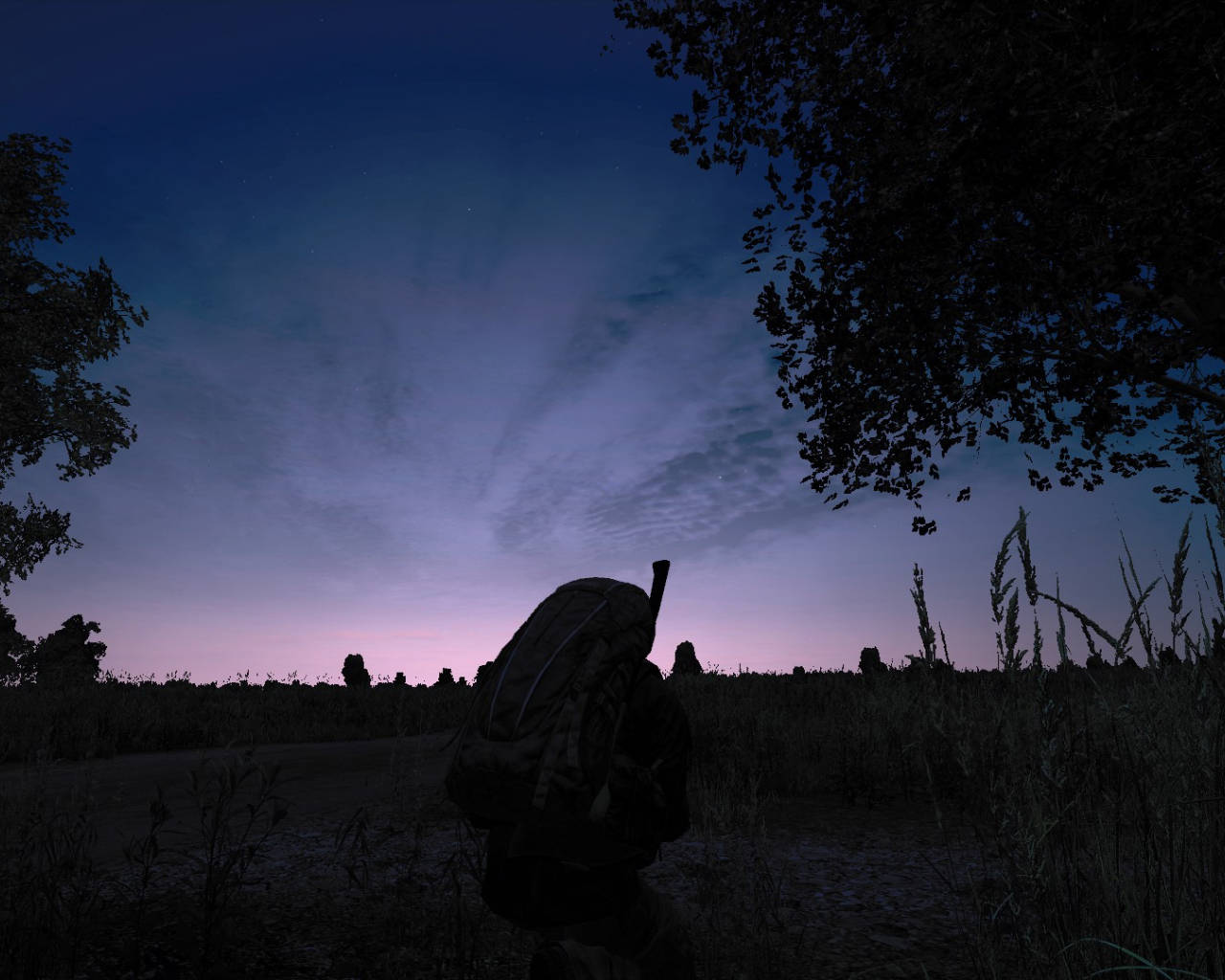 DayZ, twilight sky, purple and blue clouds, HD Desktop Wallpaper