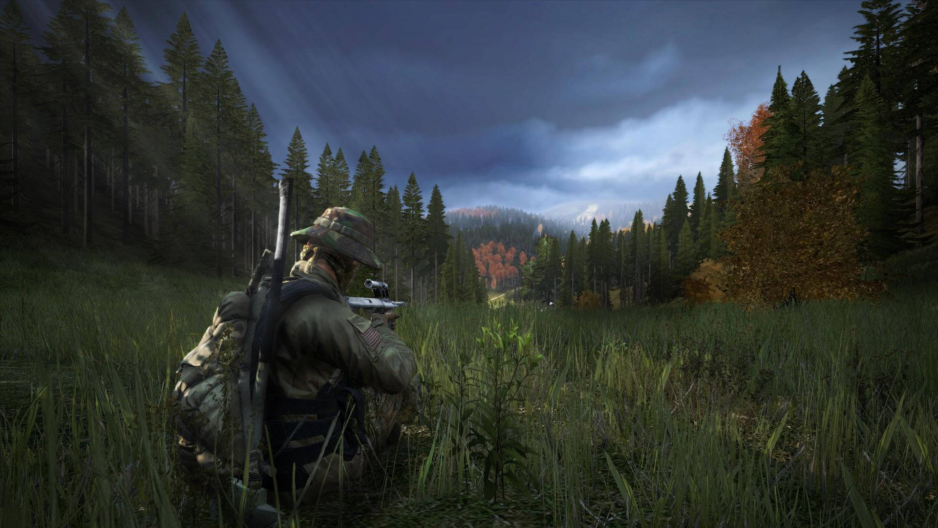 DayZ, sniper, camouflage, Full HD Desktop Wallpaper