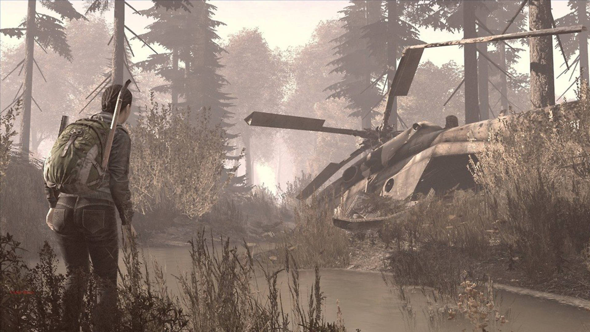 DayZ, river, forest, Full HD Desktop Wallpaper