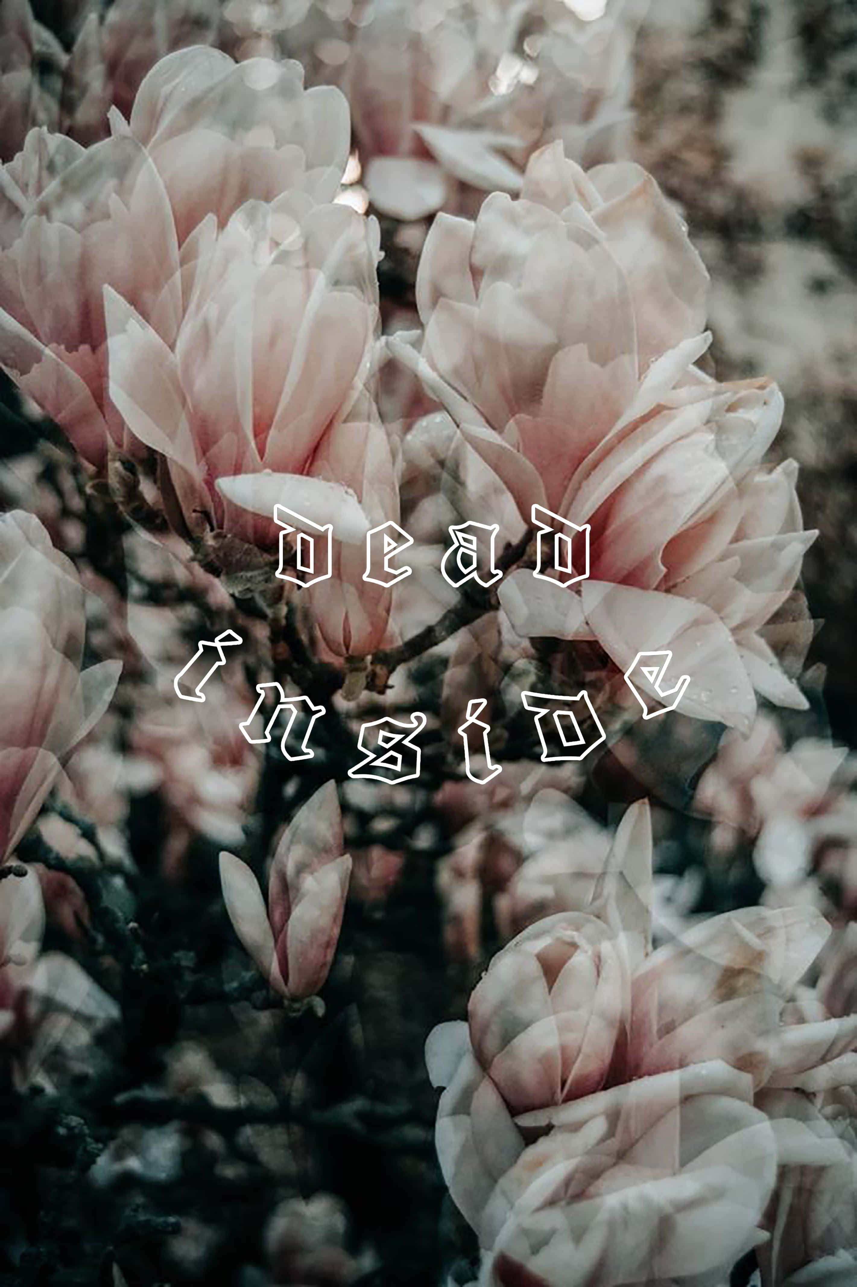 Dead Inside, magnolia blossoms, soft pink, 4K Phone Wallpaper