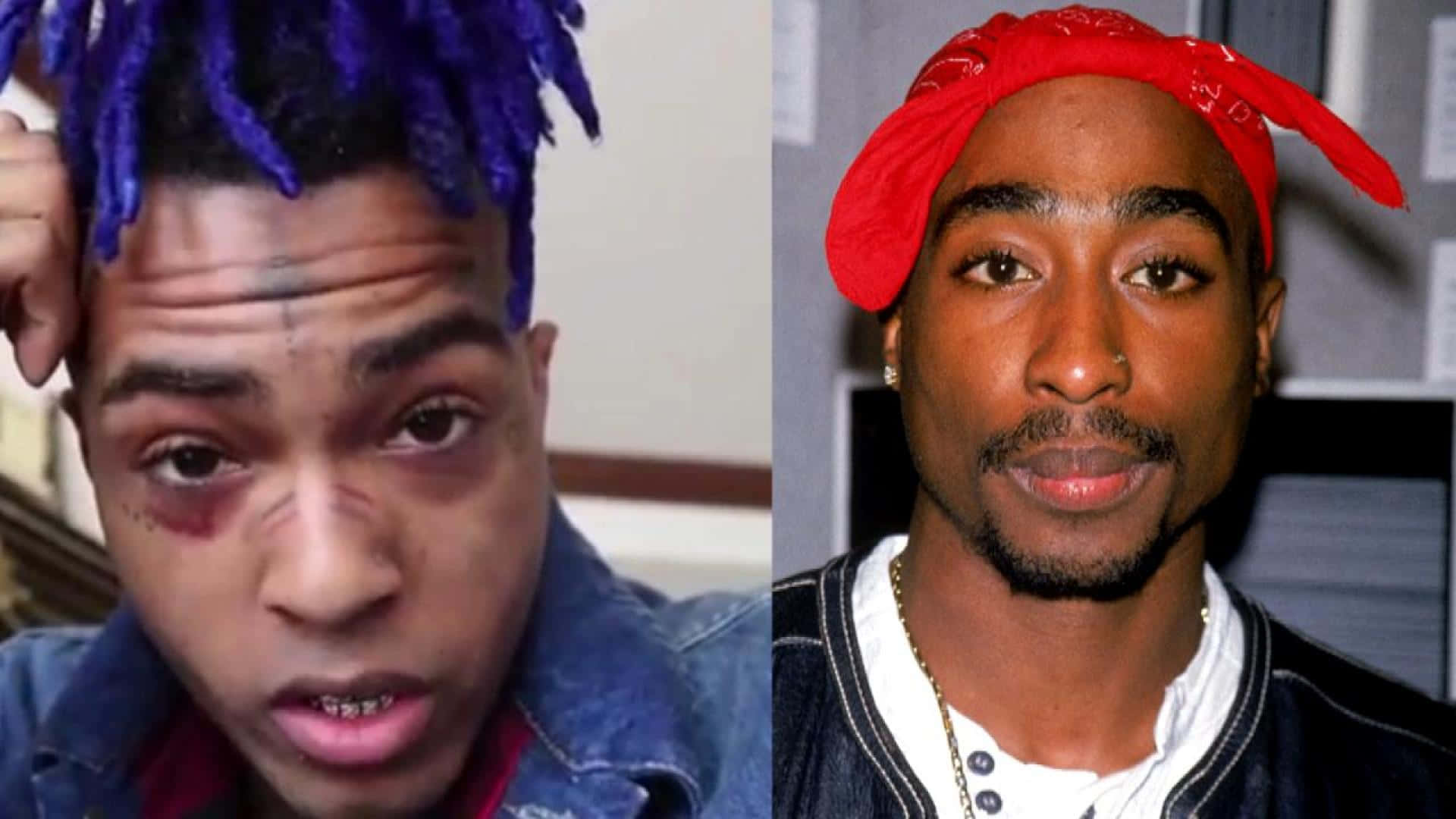 Dead Rappers, purple dreadlocks, bruised face, Full HD Desktop Wallpaper