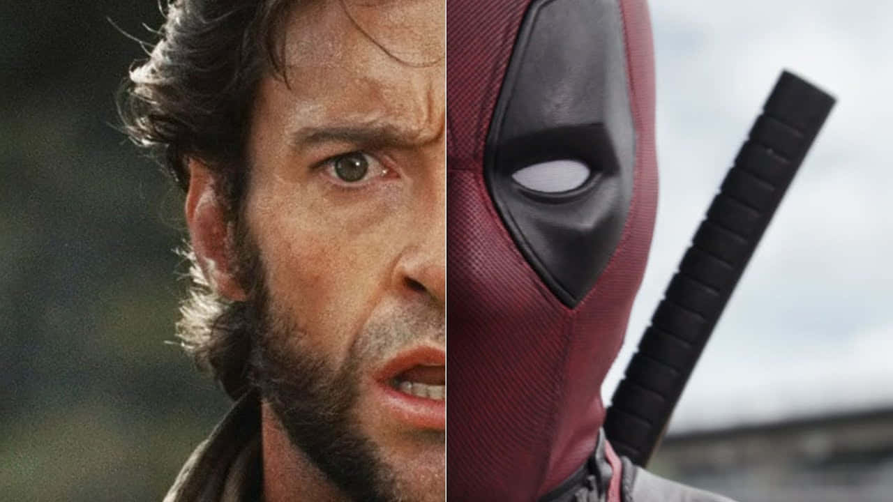 Deadpool, Wolverine, split-screen portrait, HD Desktop Wallpaper