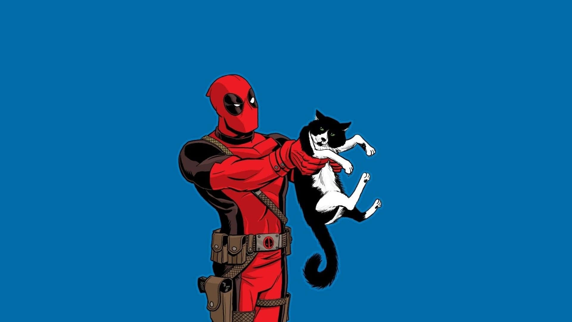 Deadpool, red suit, black and white cat, Full HD Desktop Wallpaper