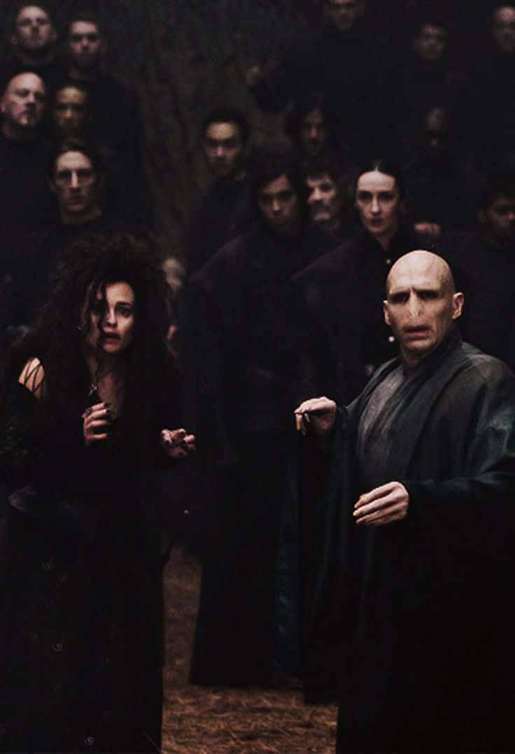 Death Eaters, black robes, dimly lit forest, SD Phone Wallpaper