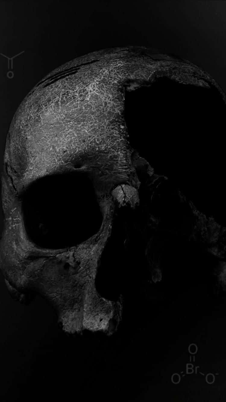Death Note, iPhone, skull, HD Phone Wallpaper