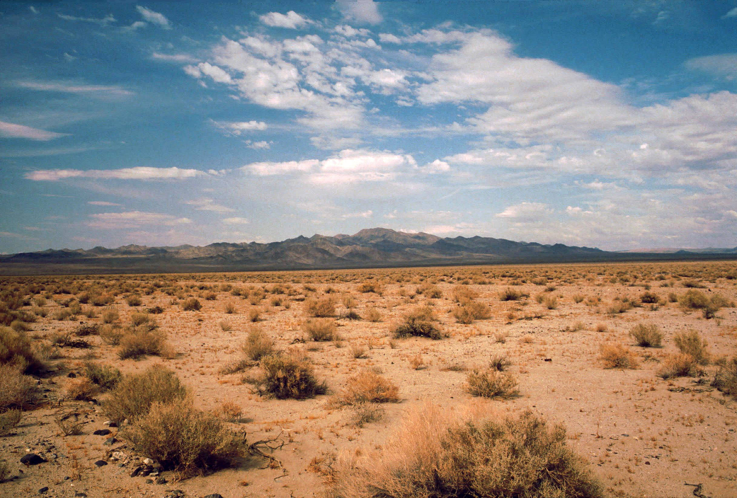 Desert Scenery, Death Valley, dry shrubs, Full HD Desktop Wallpaper