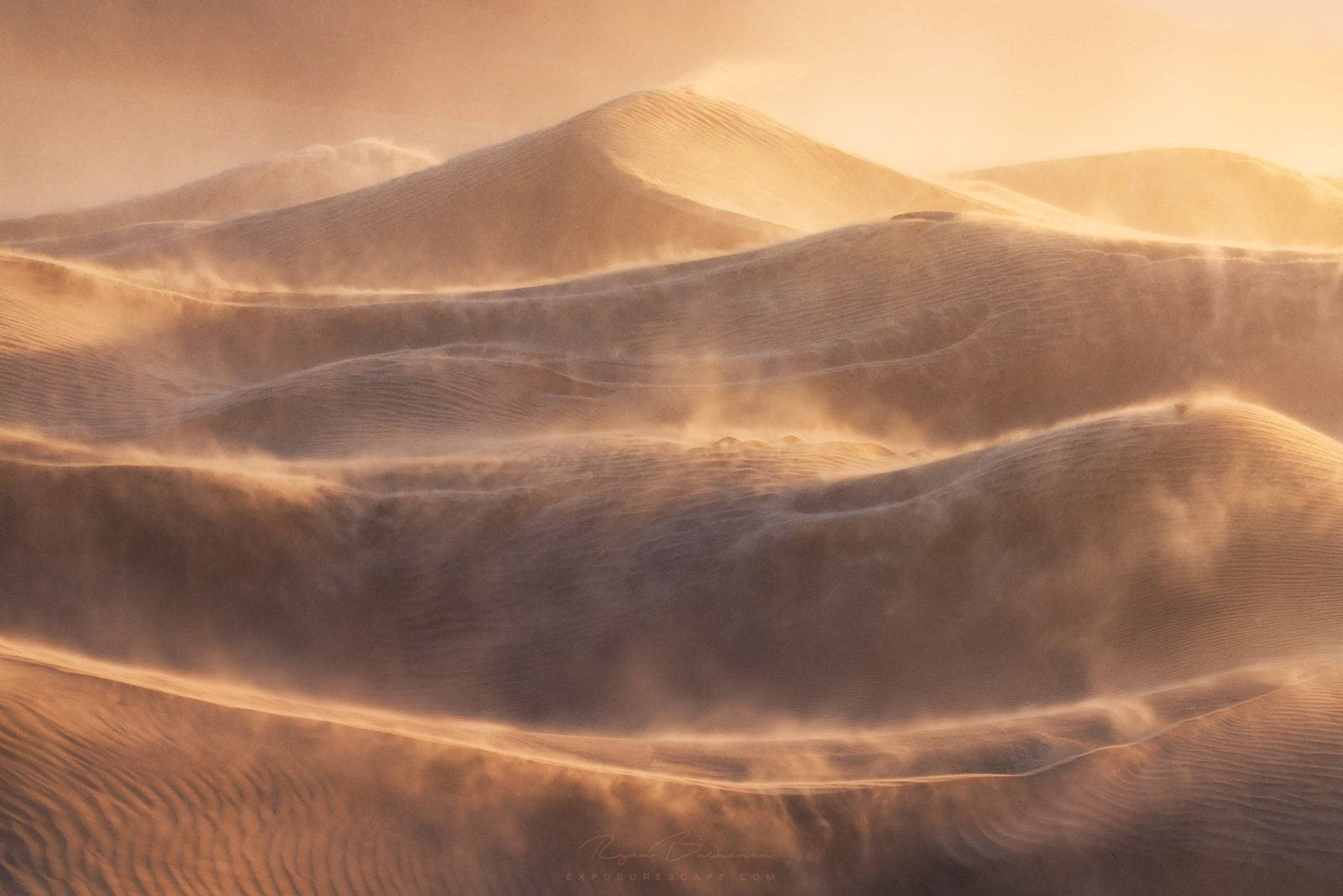 Death Valley, sandstorm, golden desert dunes, HD Desktop Wallpaper