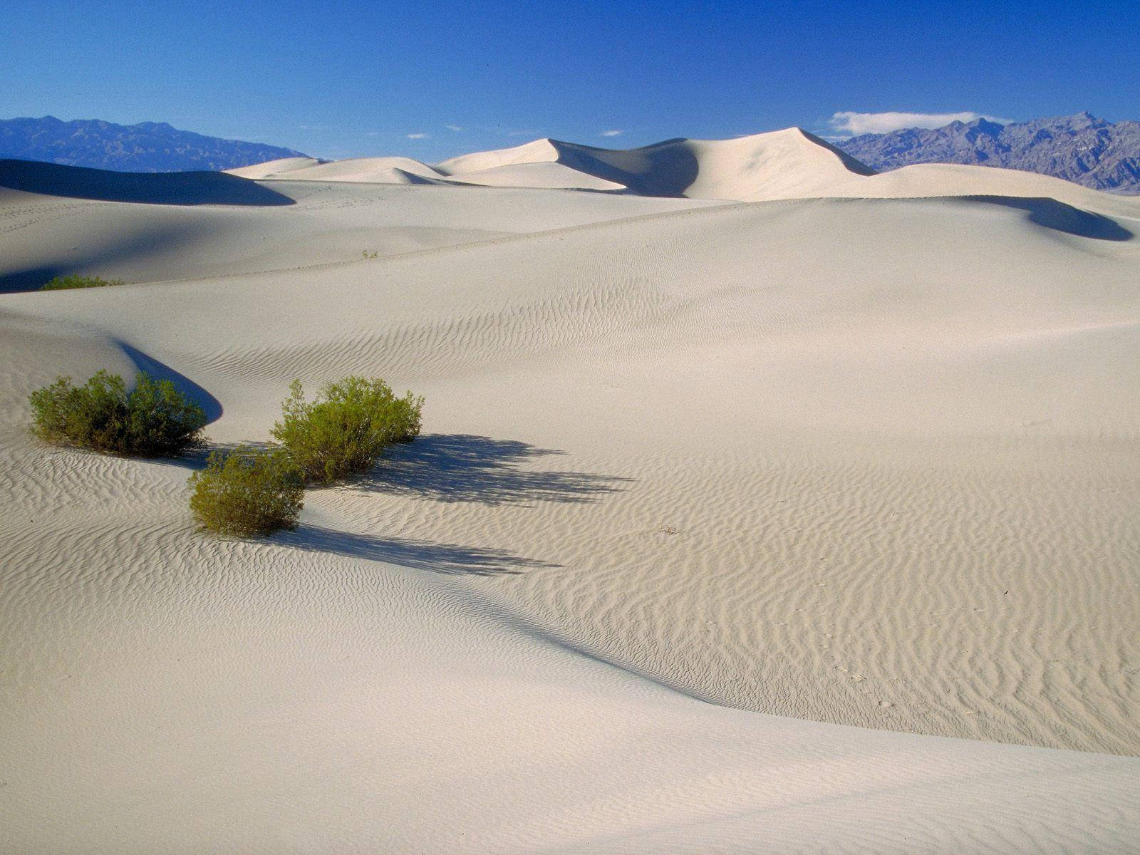 white sand dunes, Death Valley, bright blue sky, HD Desktop Wallpaper