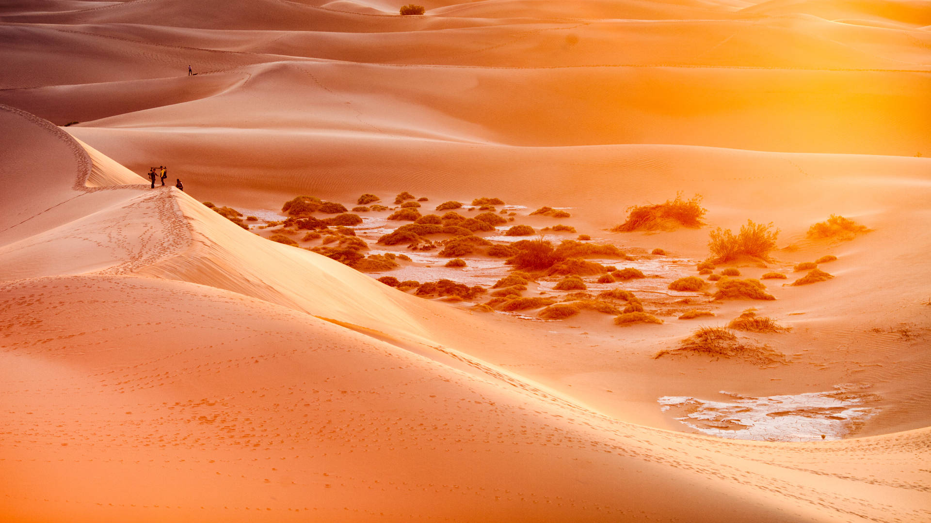 Death Valley, golden desert dunes, warm sunset light, Full HD Desktop Wallpaper