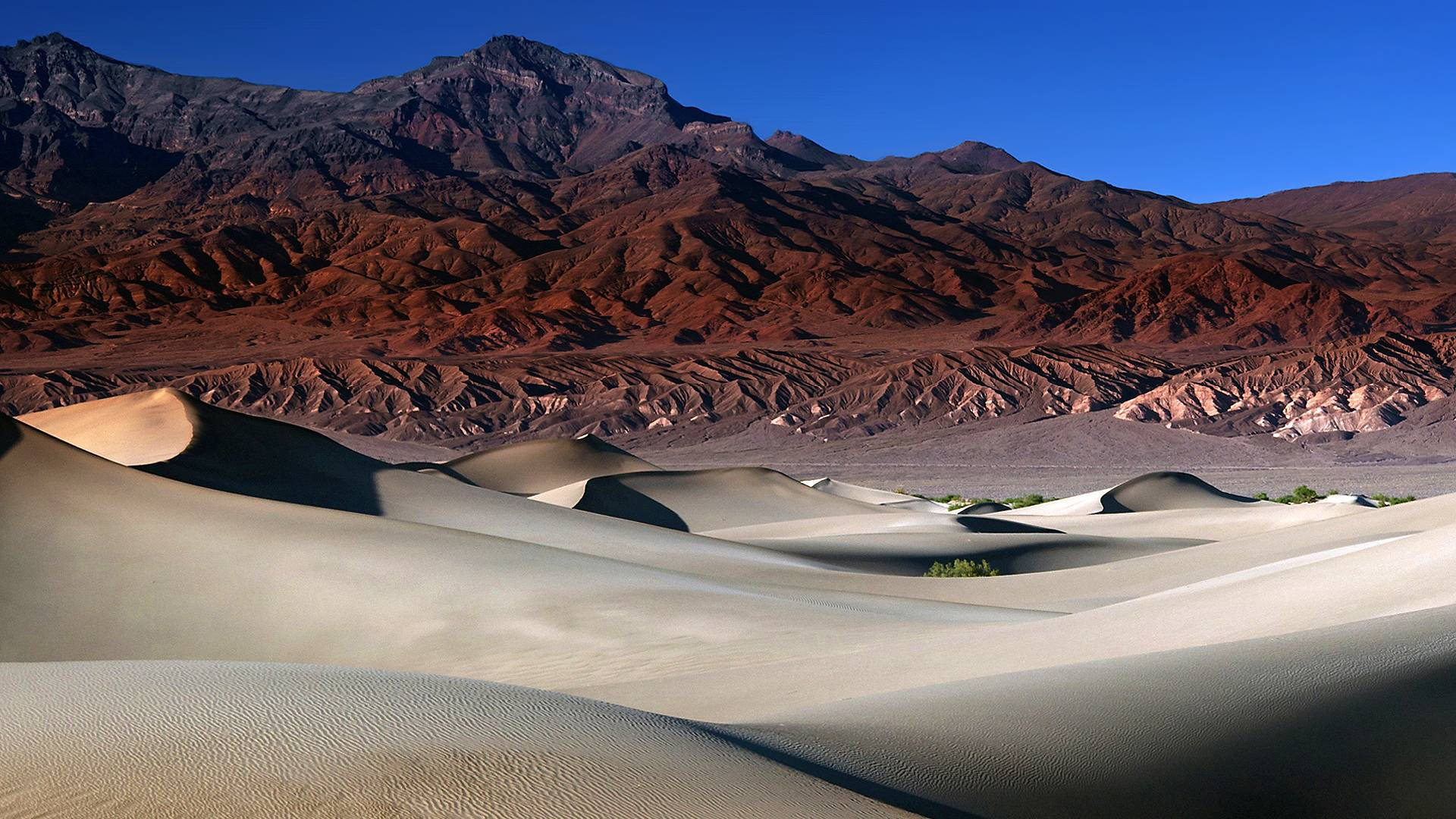 sand dunes, Death Valley, golden sand dunes, Full HD Desktop Wallpaper