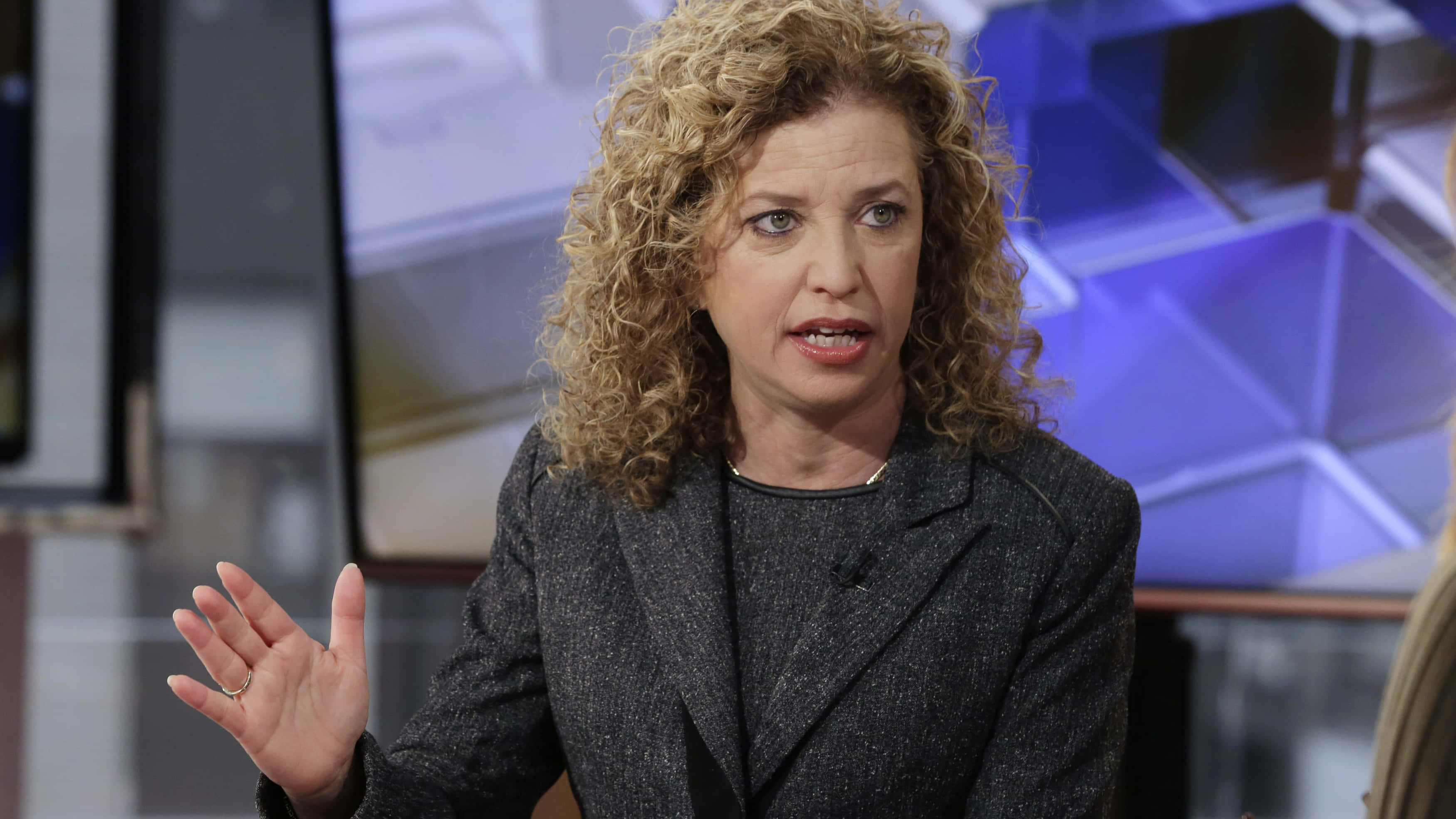 Debbie Wasserman Schultz, curly blonde hair, studio, 2K Desktop Wallpaper