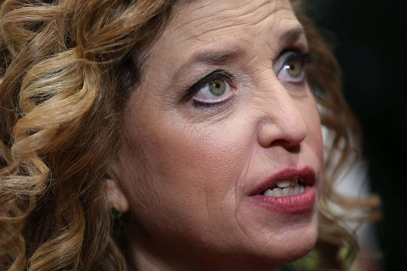 Debbie Wasserman Schultz, curly blonde hair, green eyes, HD Desktop Wallpaper