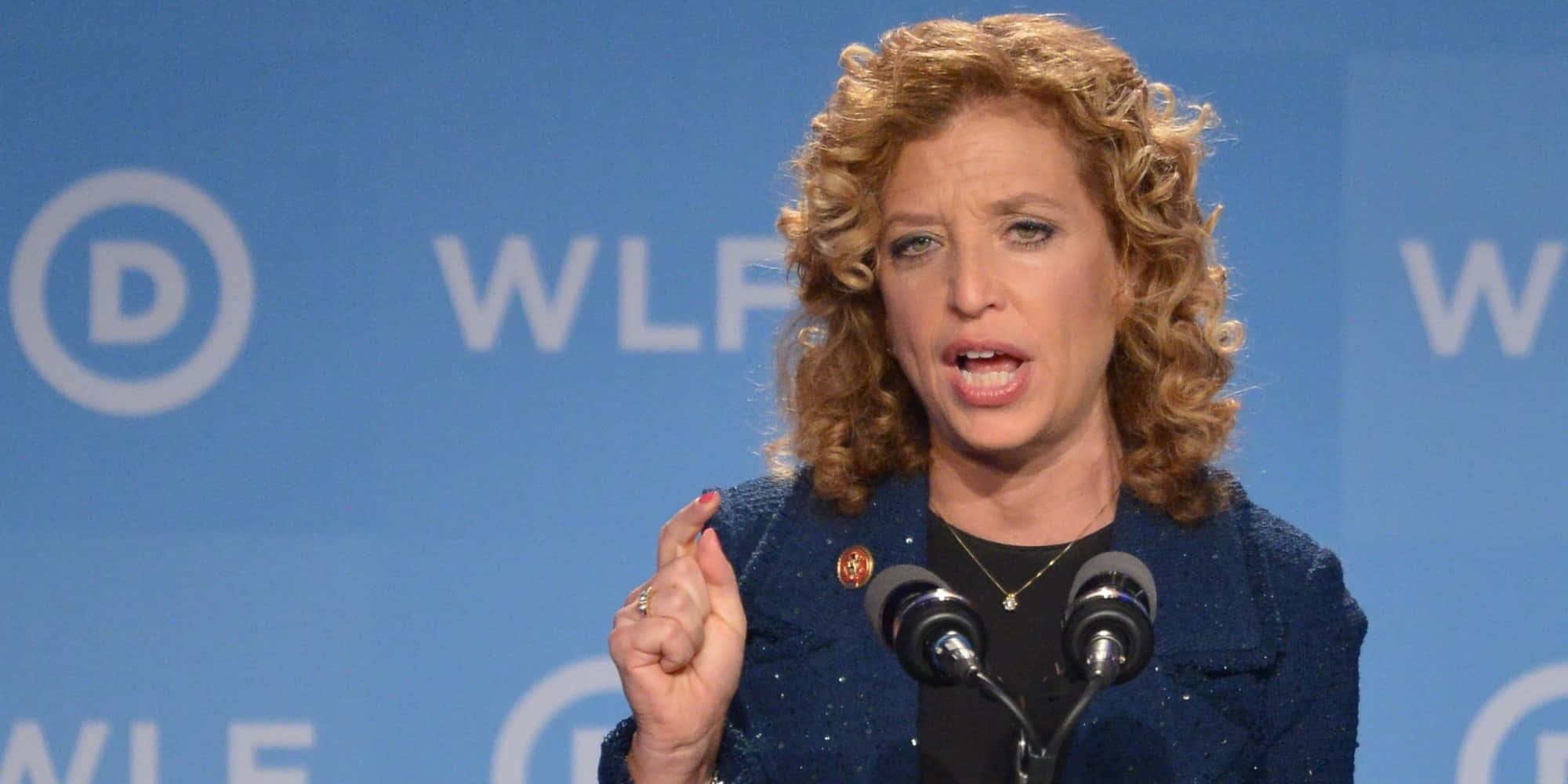 Debbie Wasserman Schultz, curly blonde hair, podium, Full HD Desktop Wallpaper