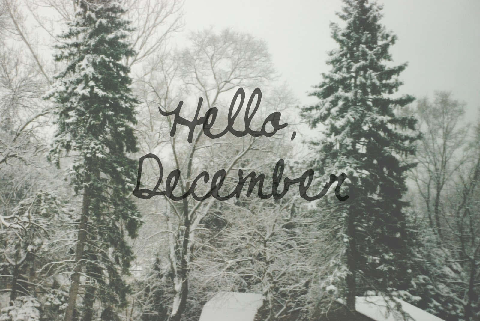 December, winter scene, snow, HD Desktop Wallpaper
