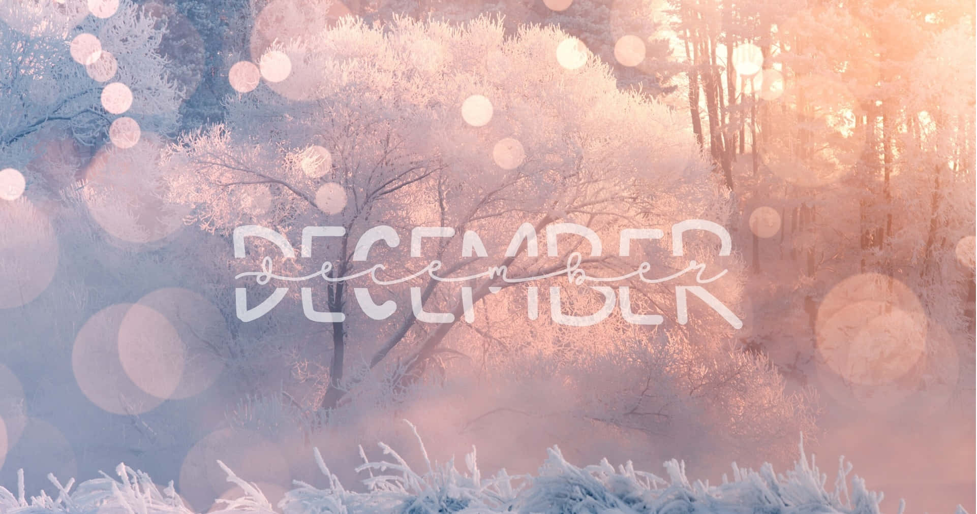 December Frosty Forest, bokeh circles, soft pink and blue light, Full HD Desktop Wallpaper